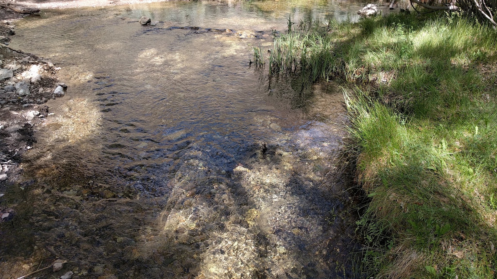 Peavine Creek Campground