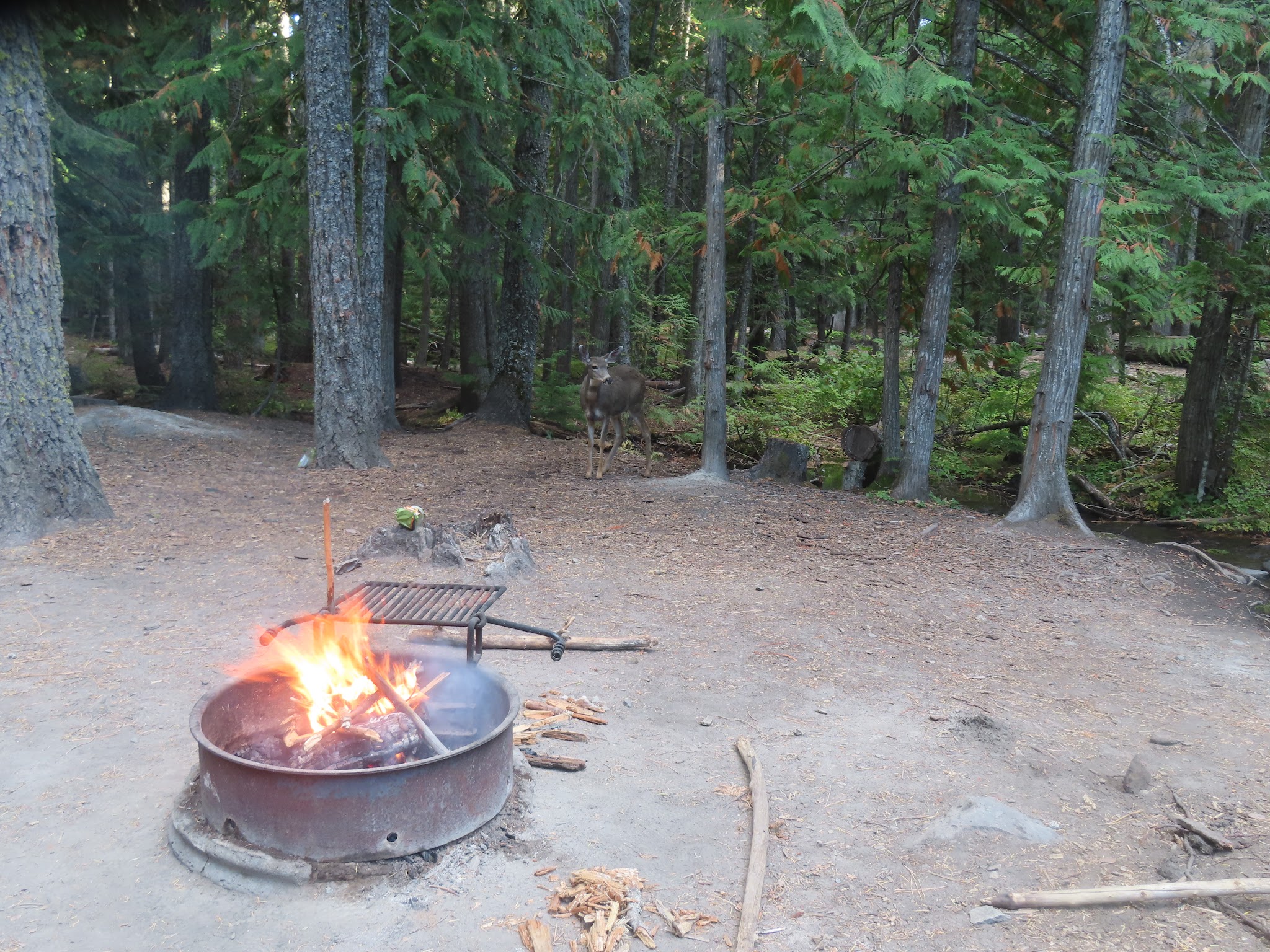 Pebble Ford Campground/Day Use