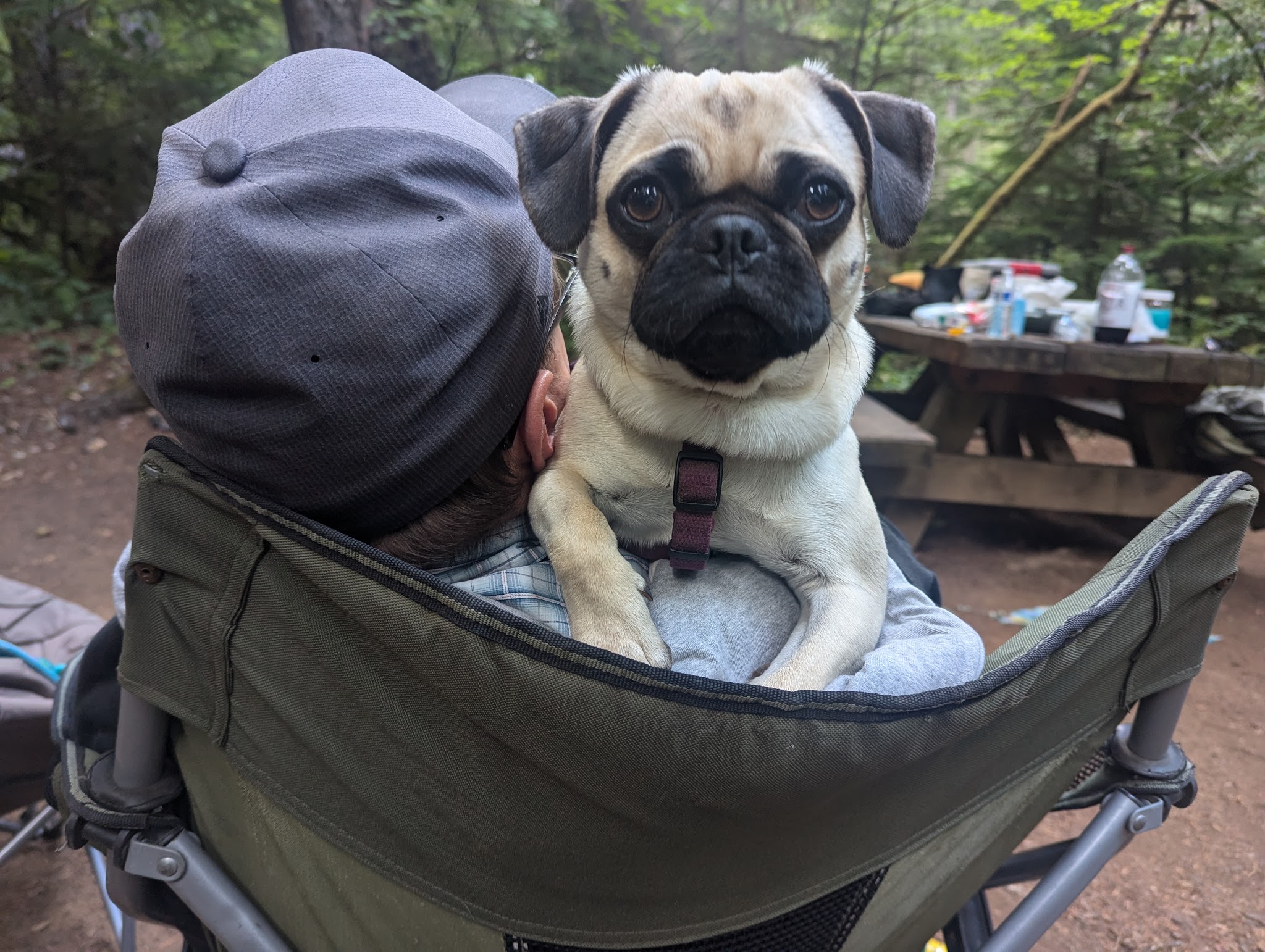 Pebble Ford Campground/Day Use