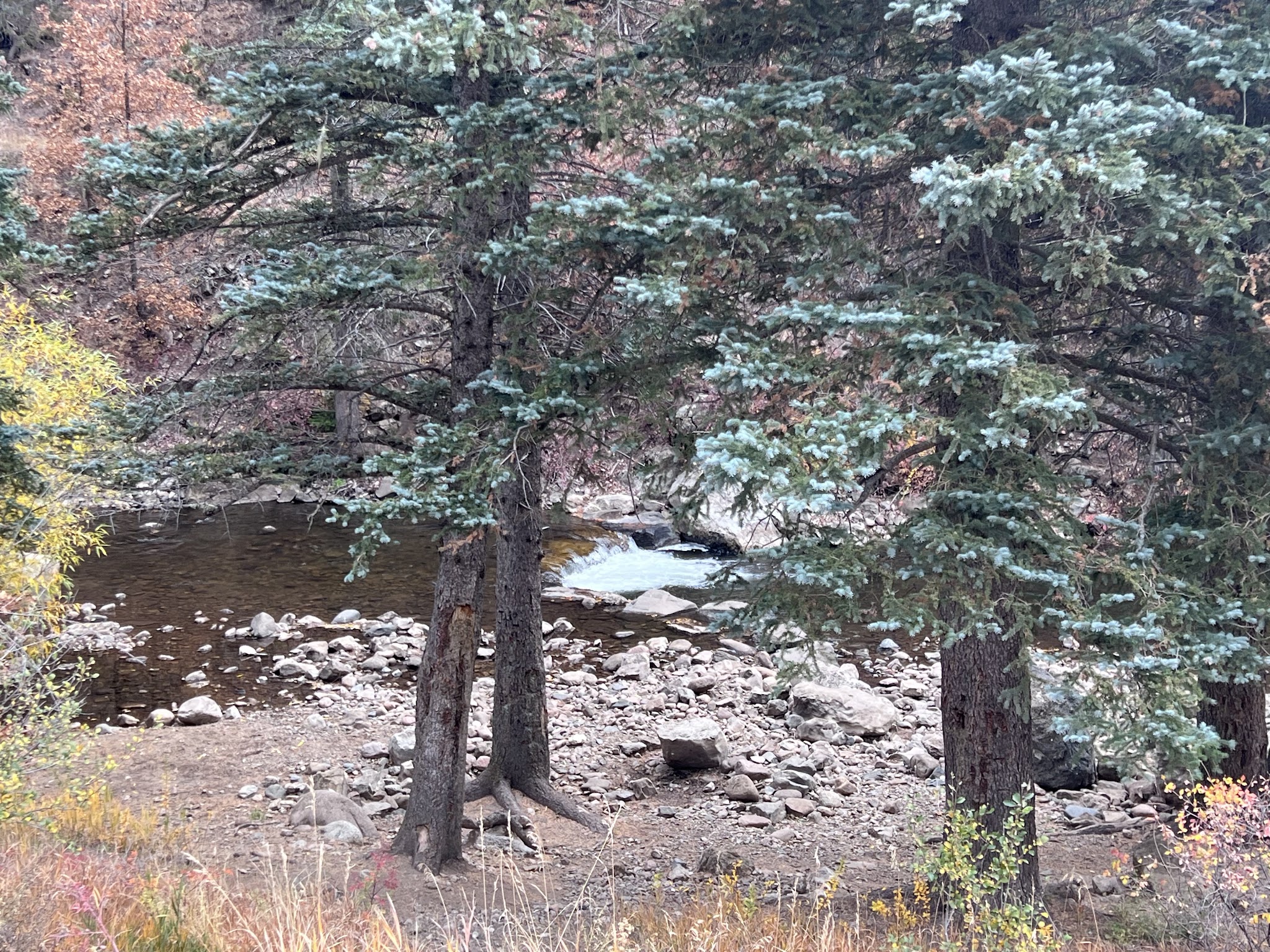 Pecos Canyon State Park
