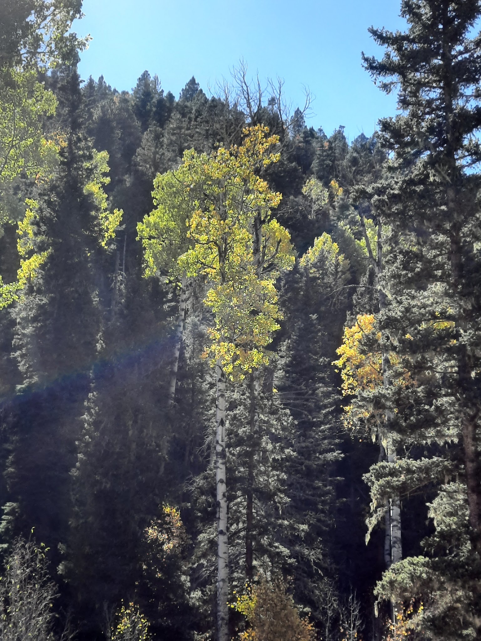 Pecos Canyon State Park