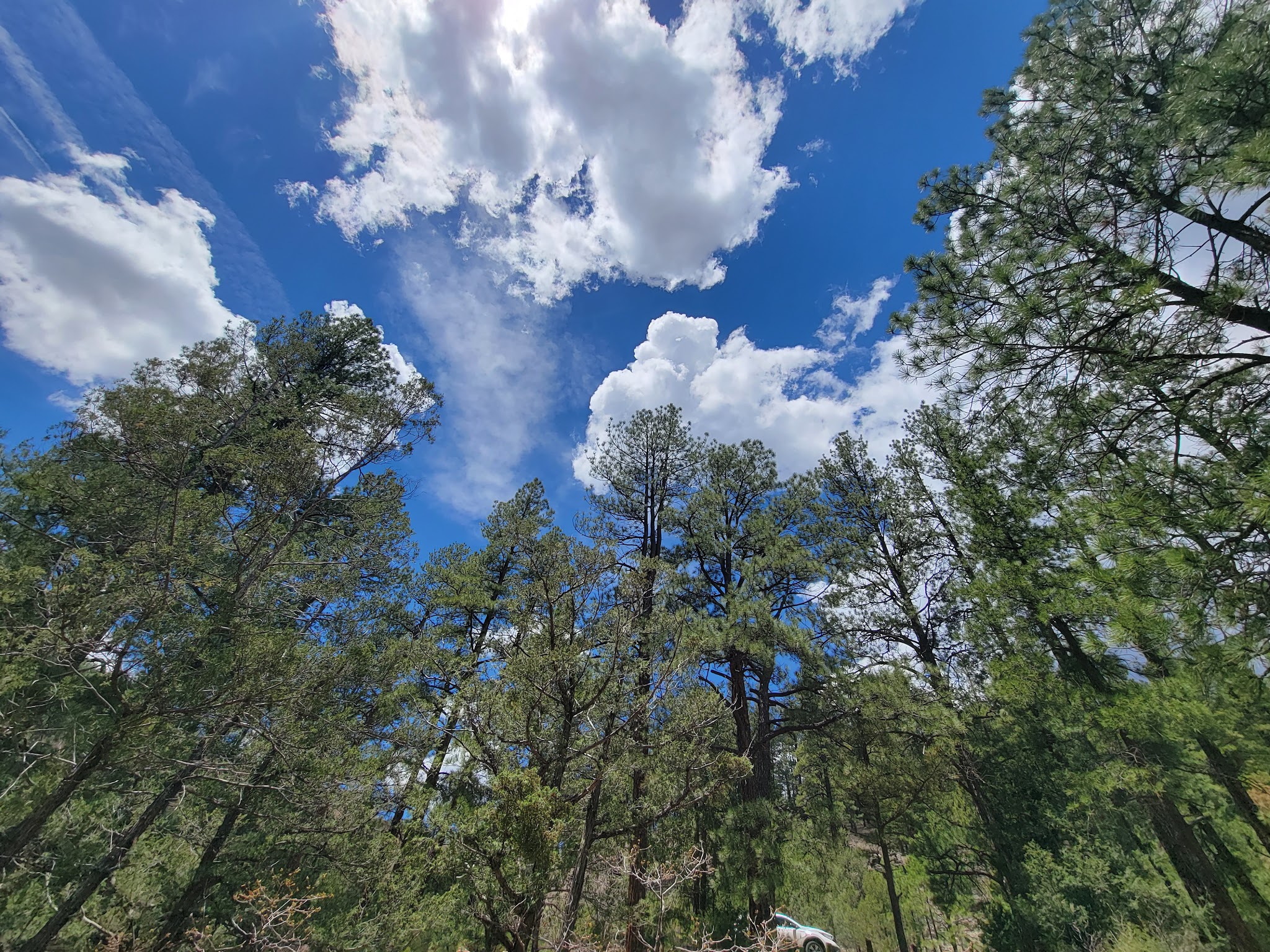 Pecos Canyon State Park