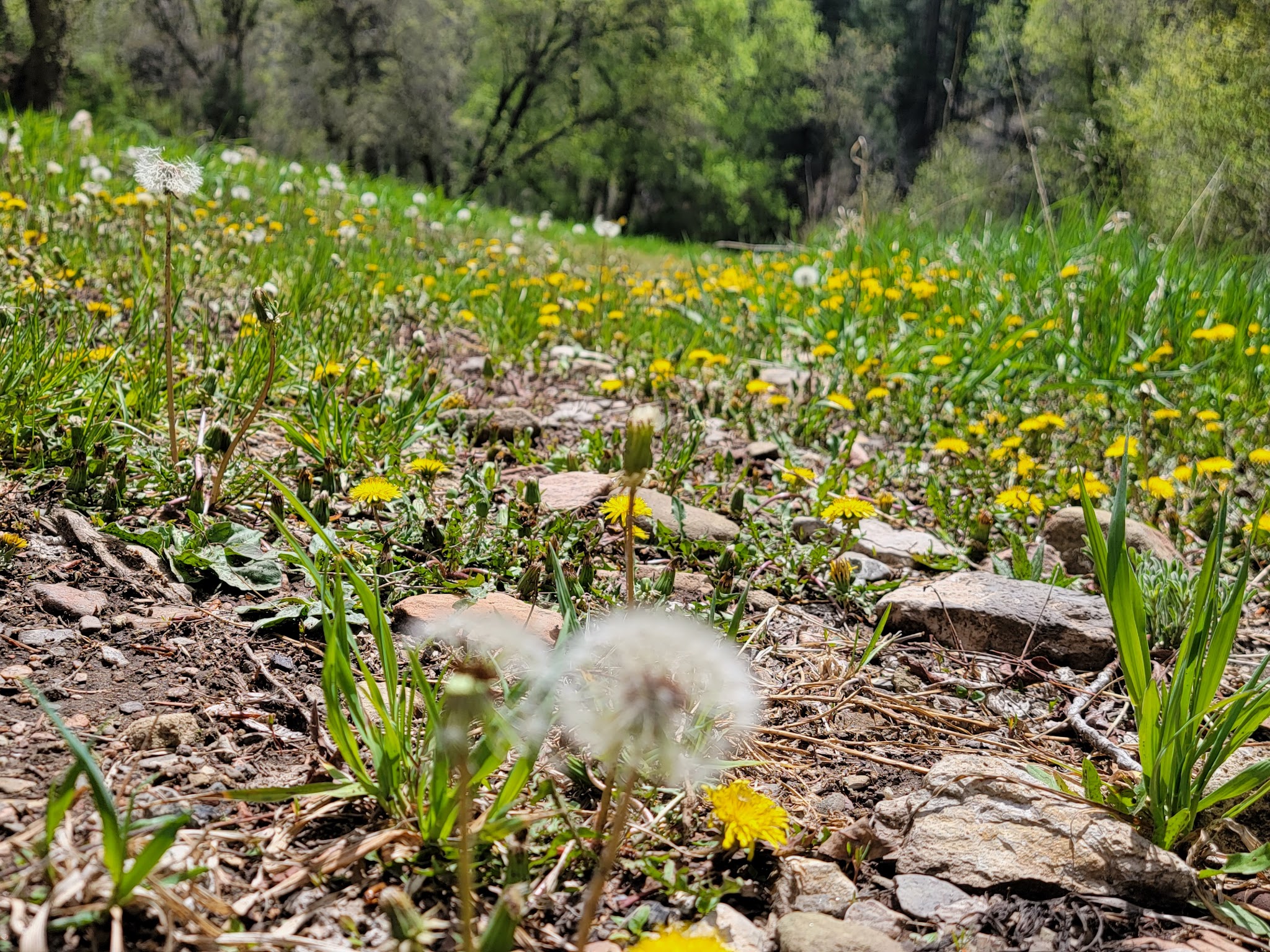 Pecos Canyon State Park