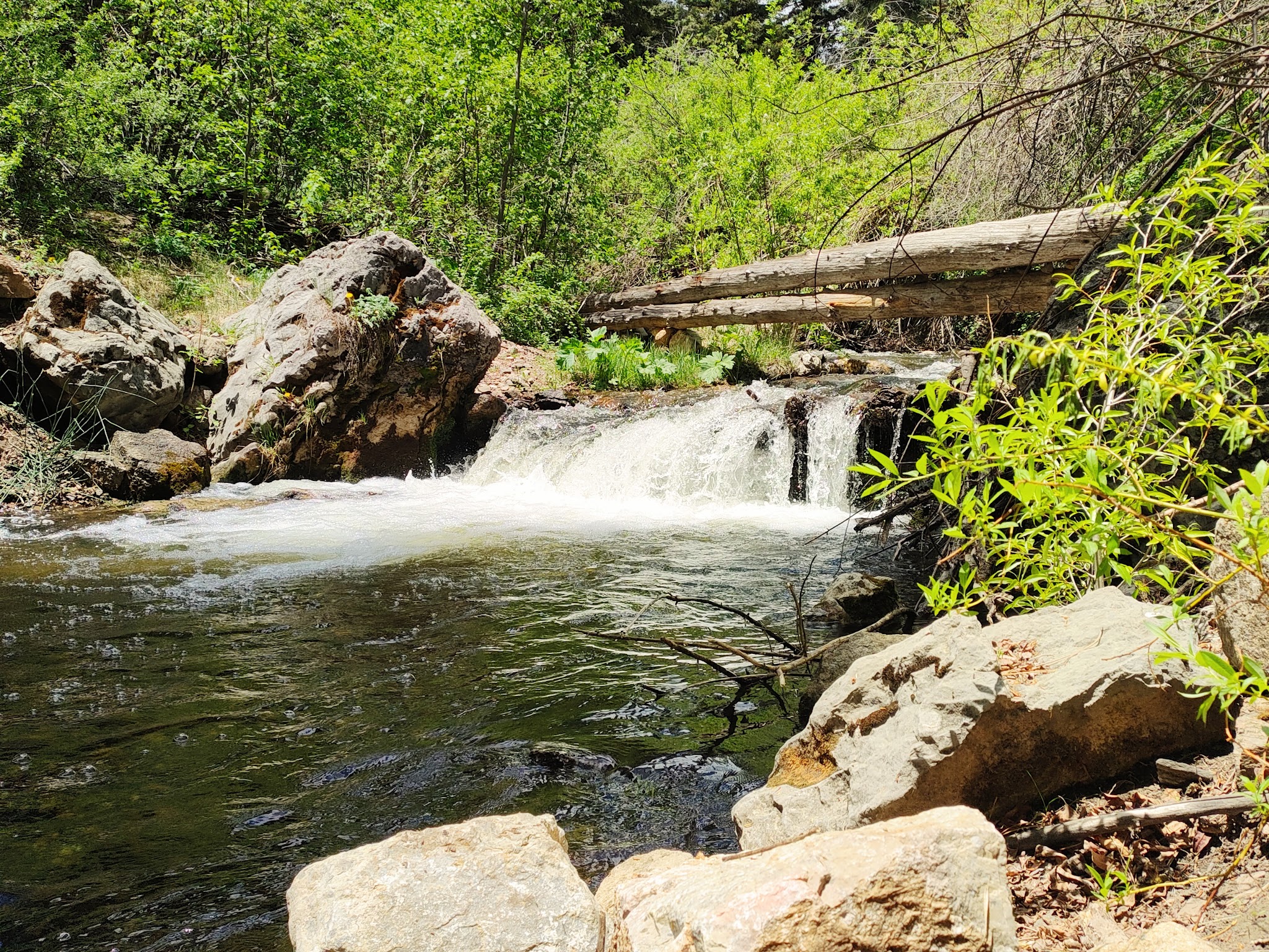 Pecos Canyon State Park