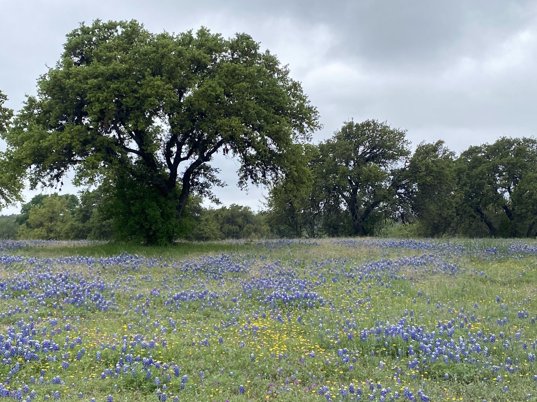 Pedernales River Nature Park
