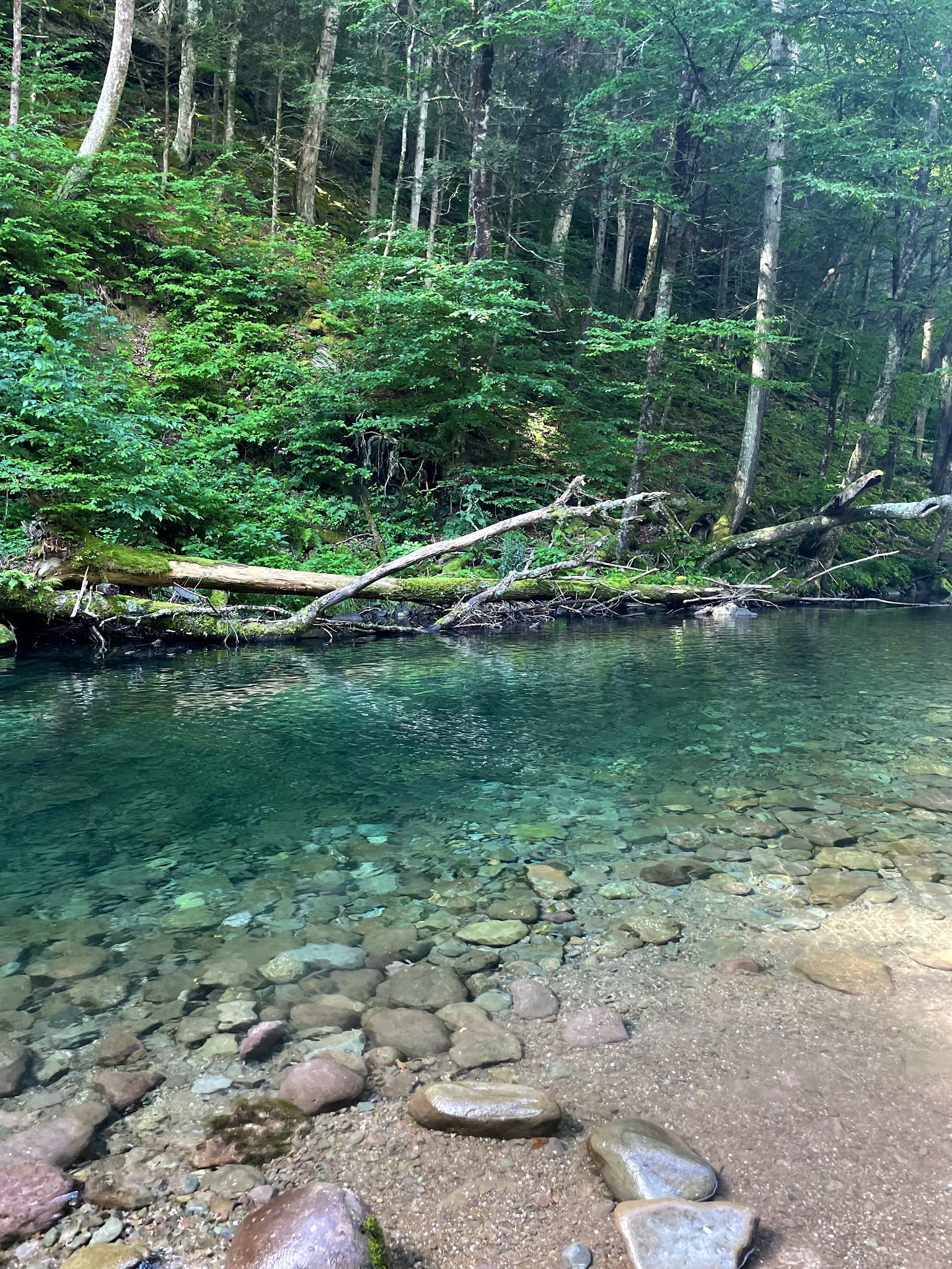 Peekamoose Blue Hole