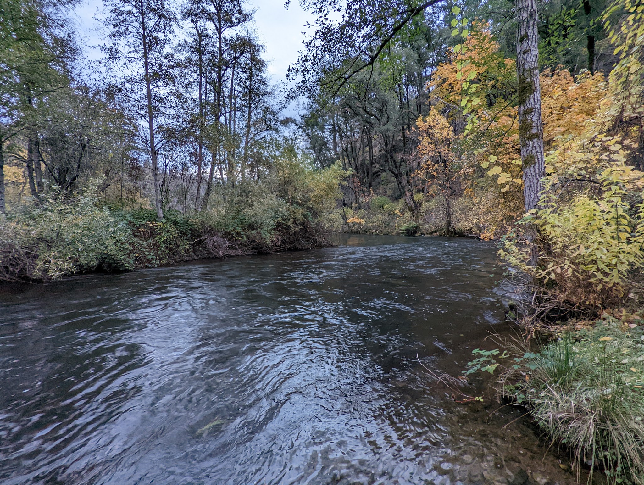 Peltier Bridge Primitive Campground