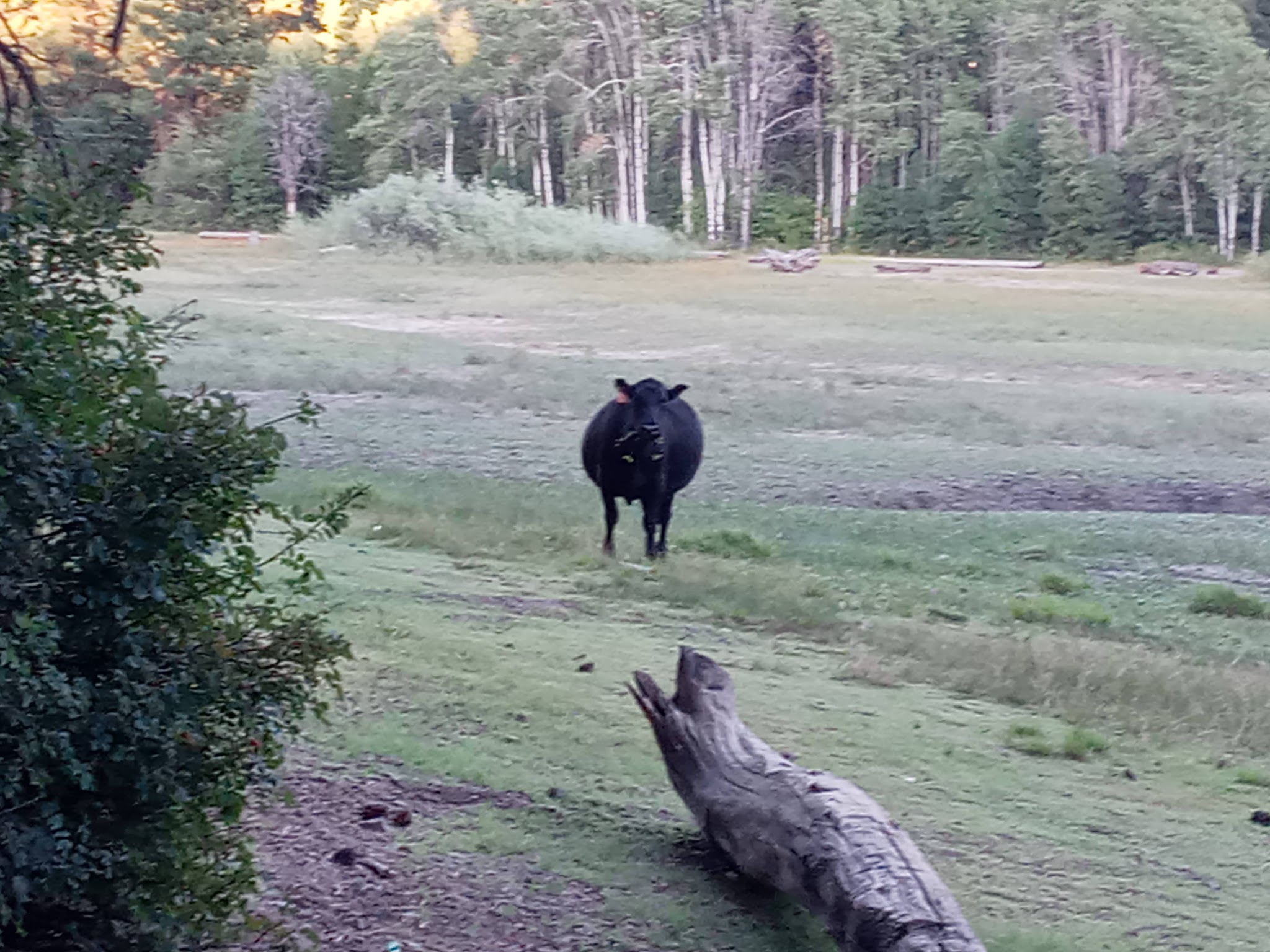 Peninsula  Campground