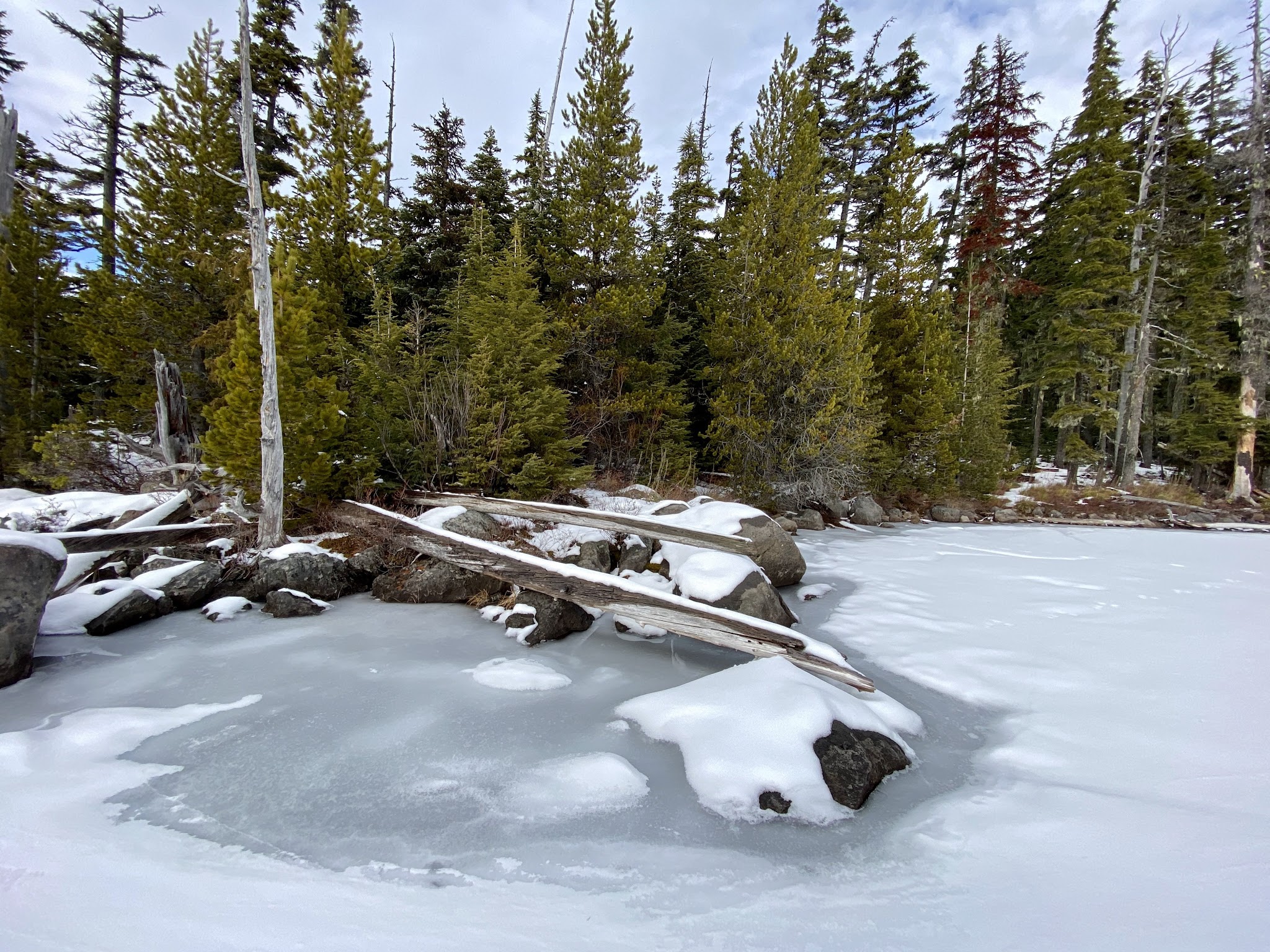 Peninsula (Olallie Lake) Campground