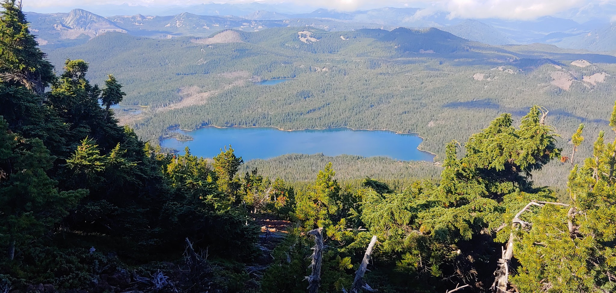 Peninsula (Olallie Lake) Campground