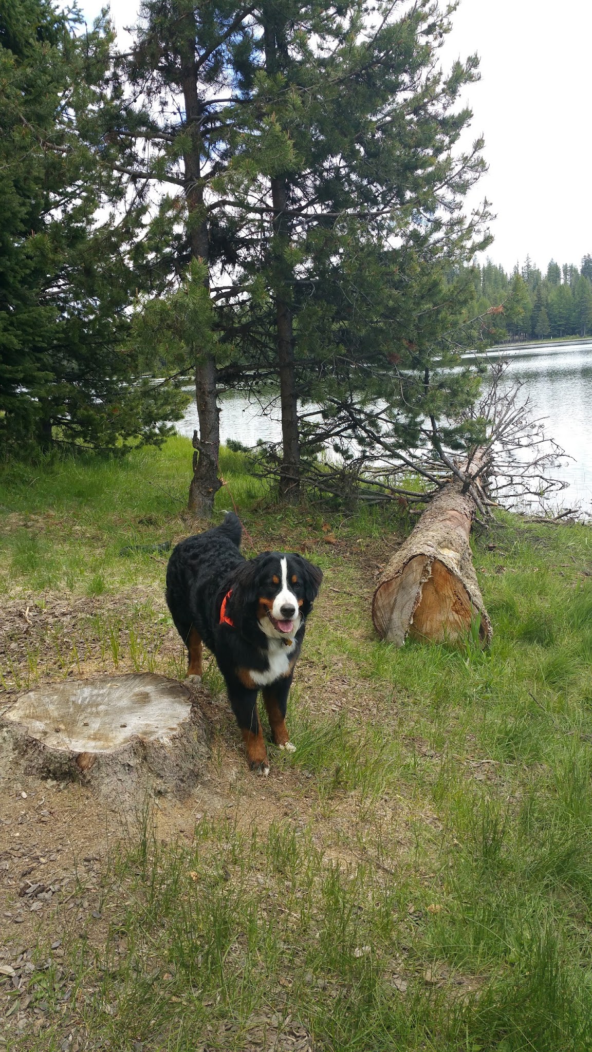 Penland Lake Campground
