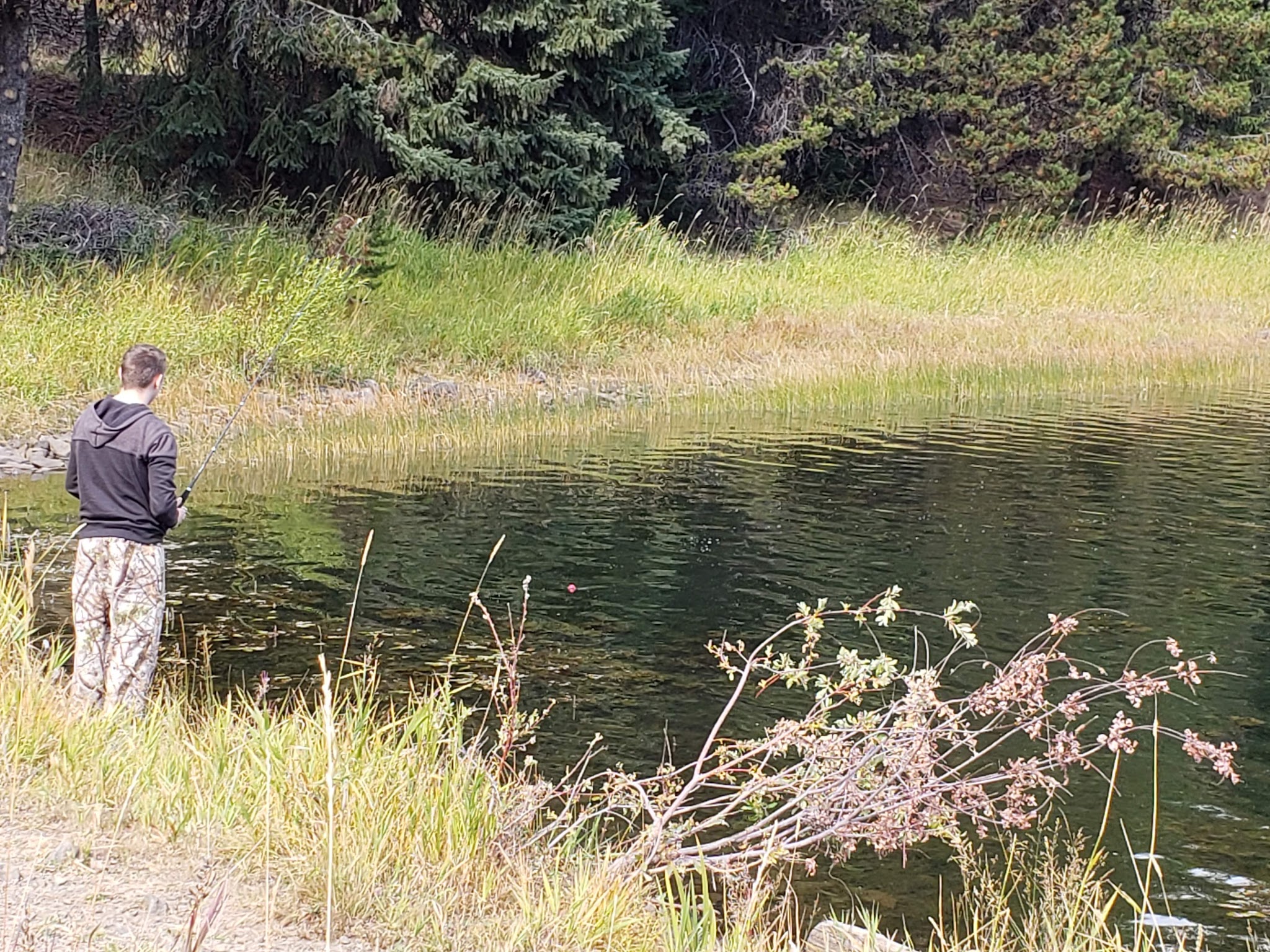 Penland Lake Campground