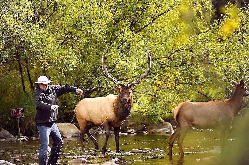 Penn Basin Campground