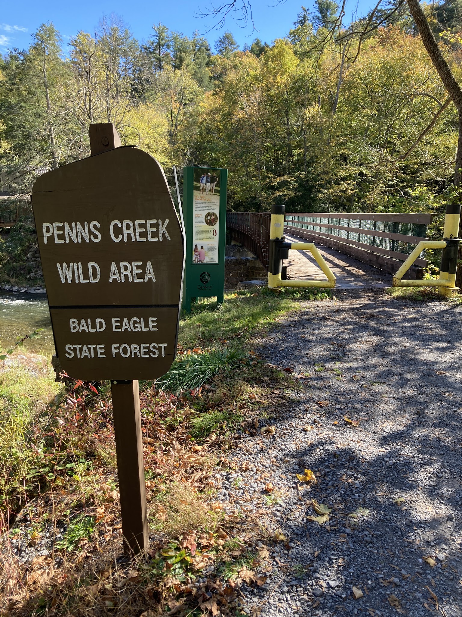 Bald Eagle State Forest