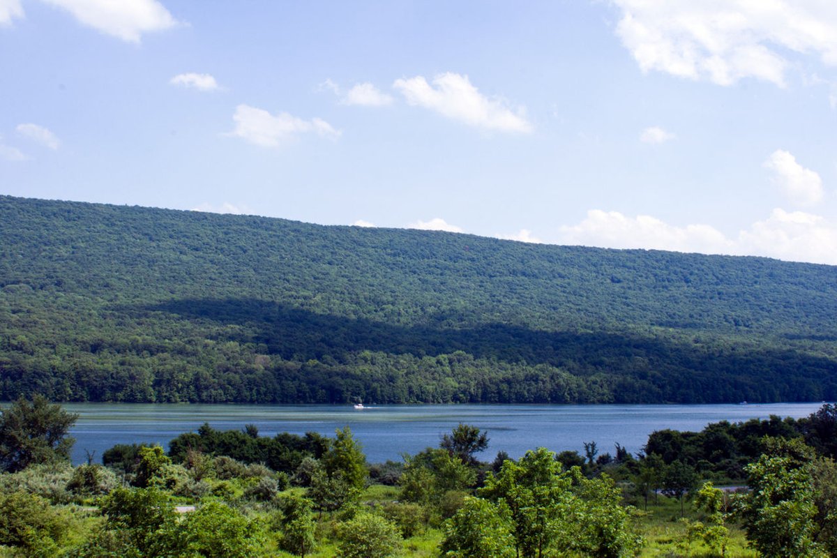 Bald Eagle State Park