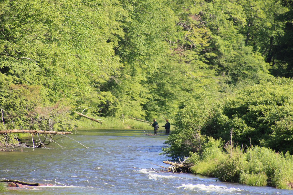 Bendigo State Park