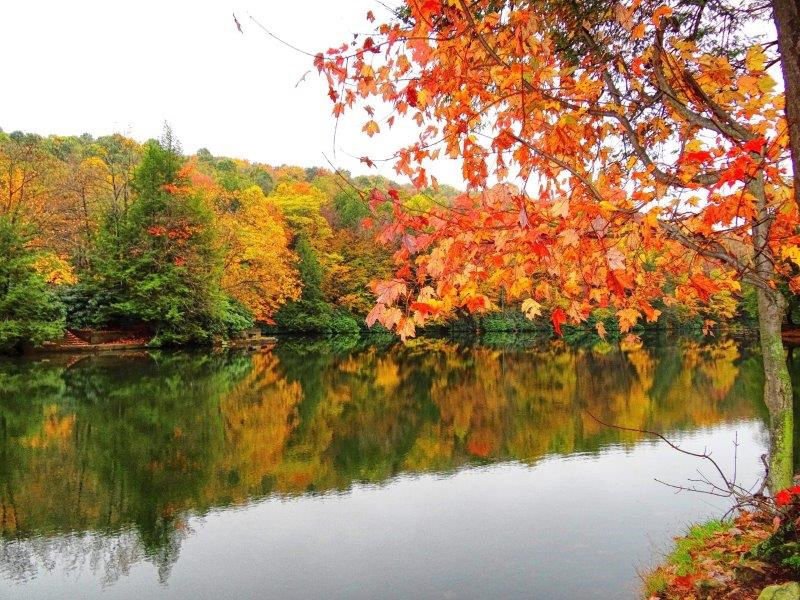Kooser State Park