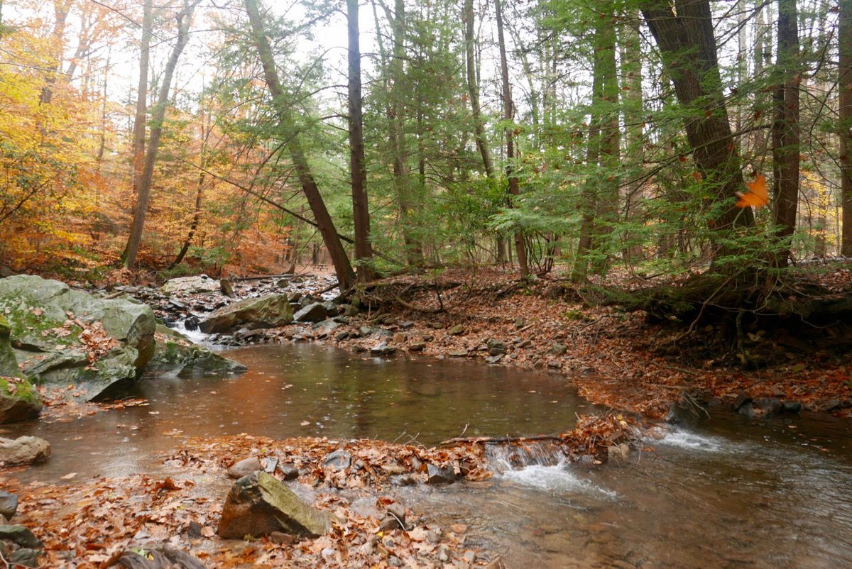 Linn Run State Park