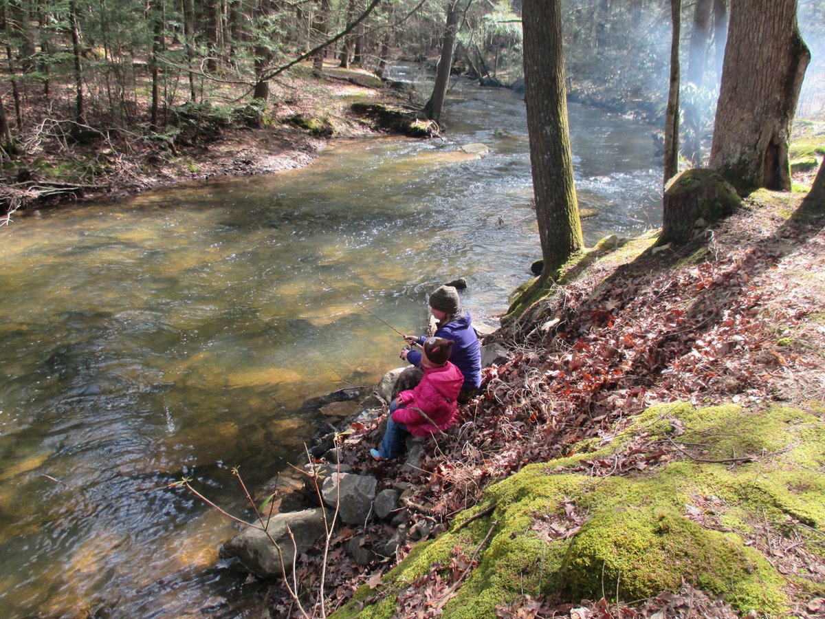 Reeds Gap State Park