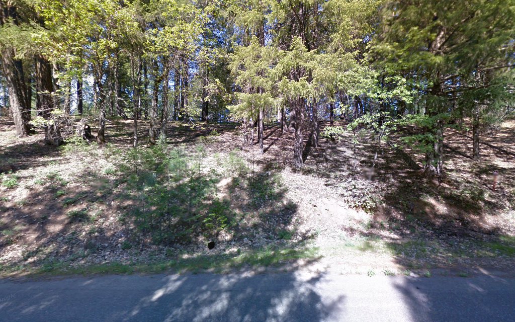 Penny Pines Campground