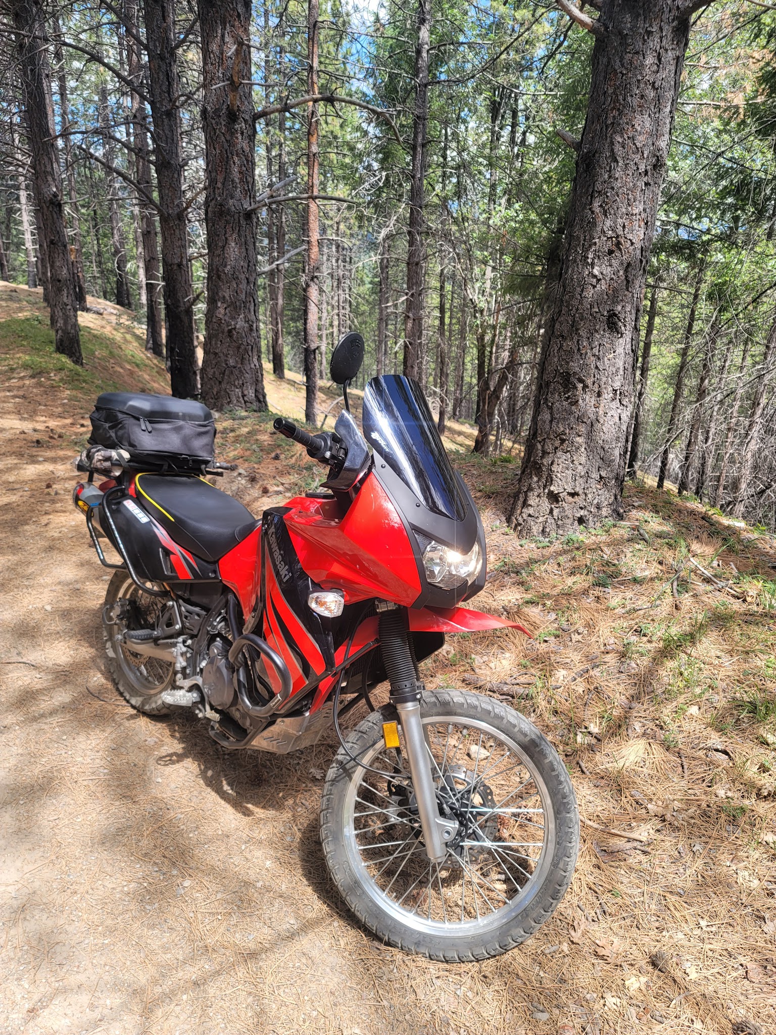 Penny Pines Campground