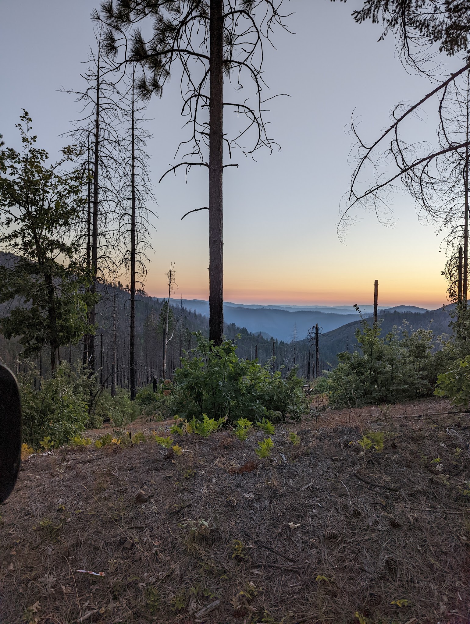 Penny Pines Campground
