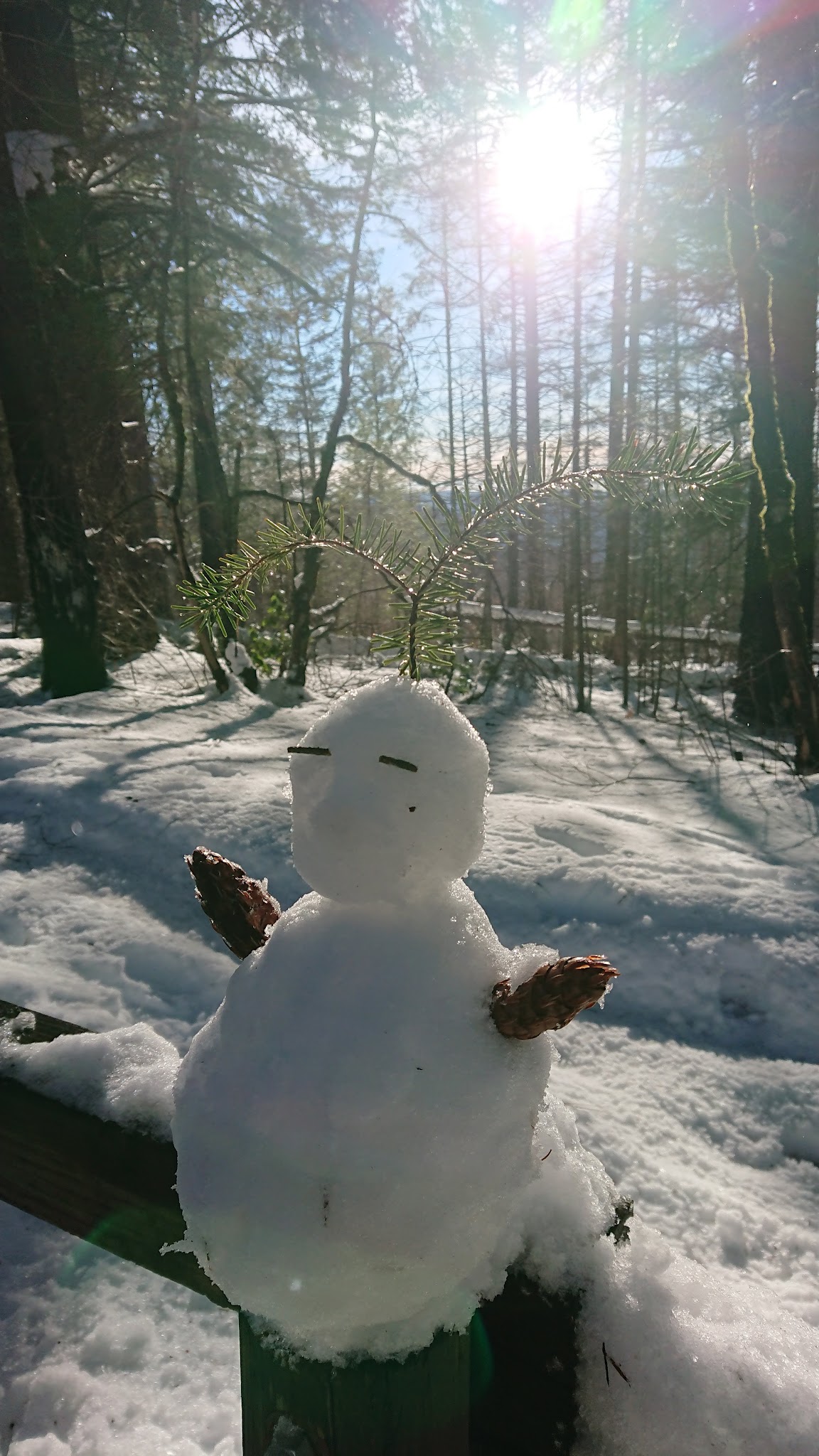 Penny Pines Campground