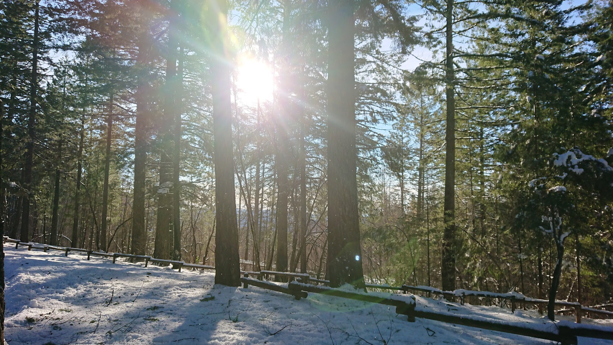 Penny Pines Campground