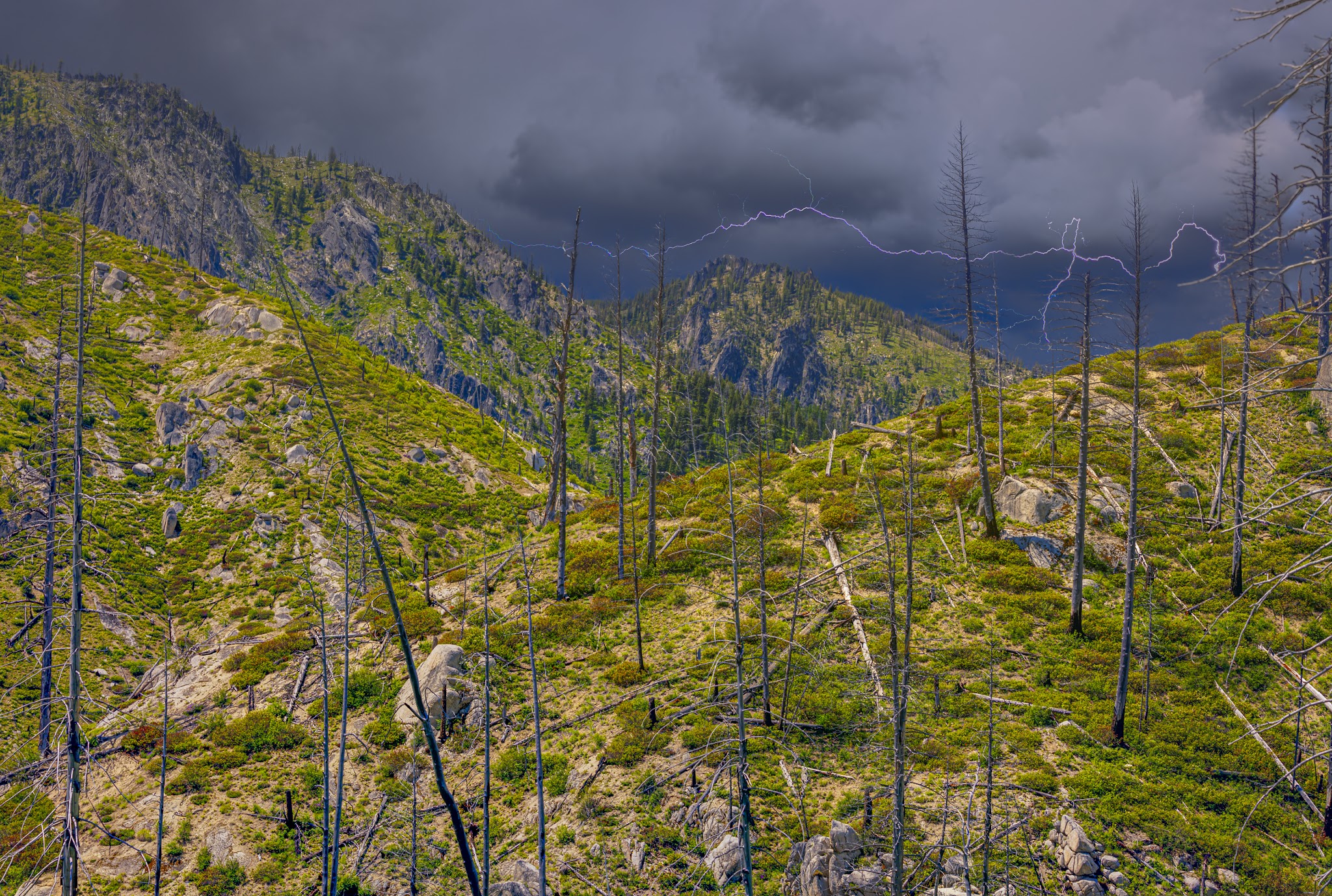 Penny Springs Campground