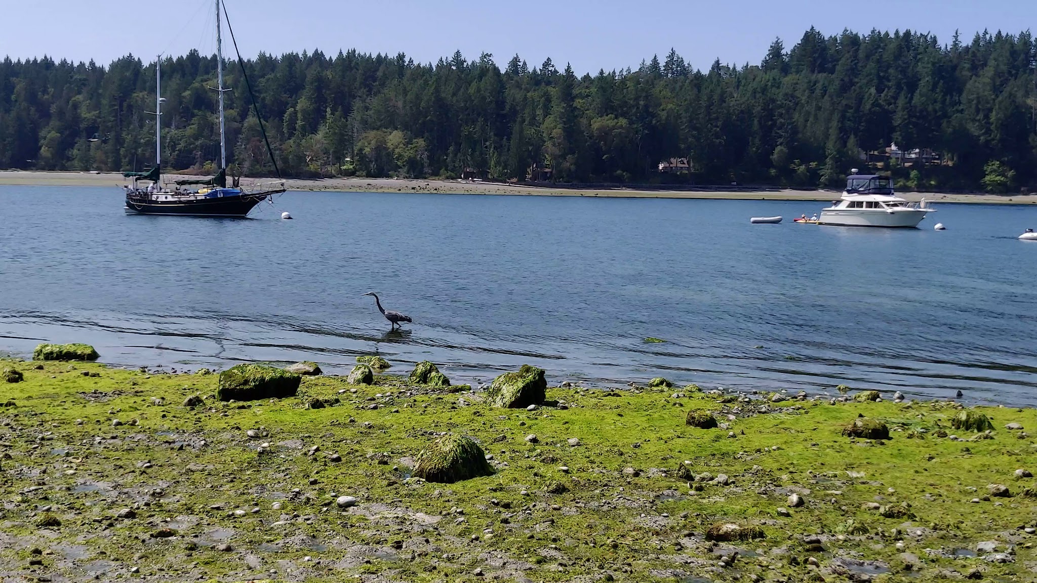 Penrose Point State Park