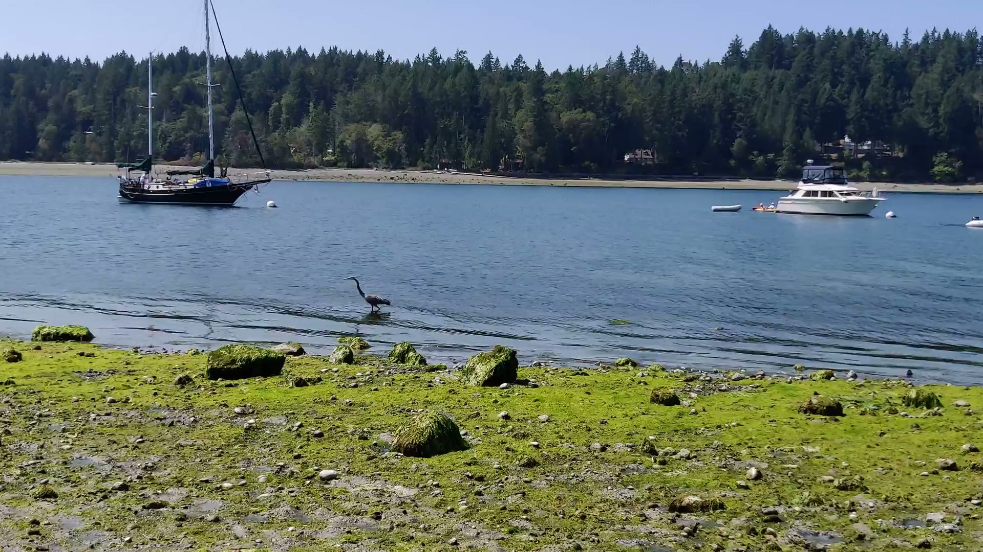 Penrose Point State Park