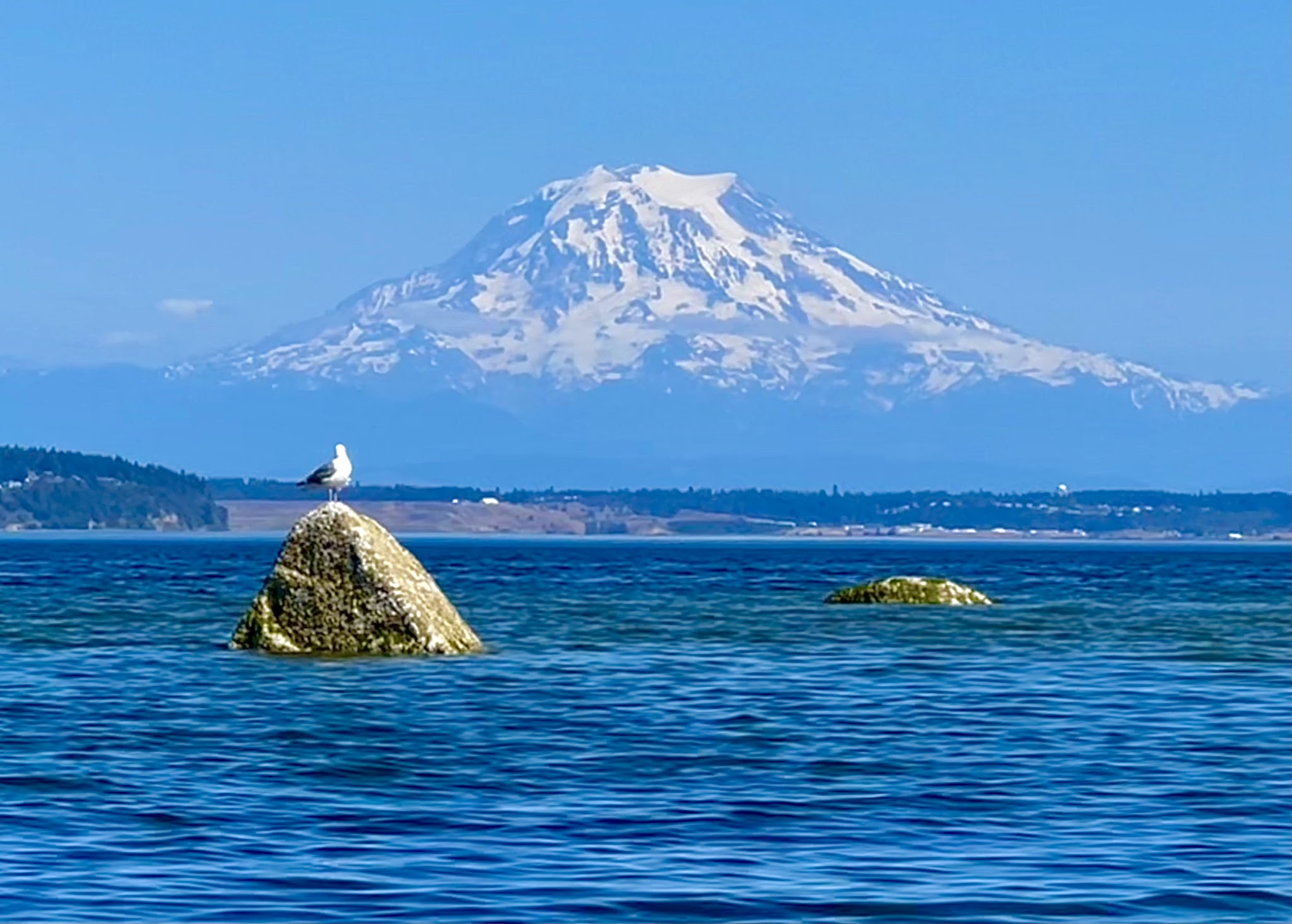 Penrose Point State Park