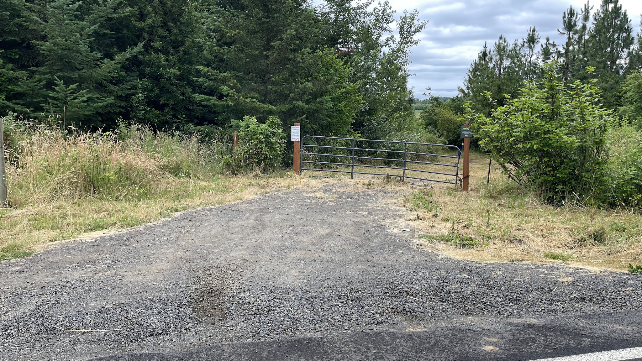 Penstemon Prairie Natural Crup Campground