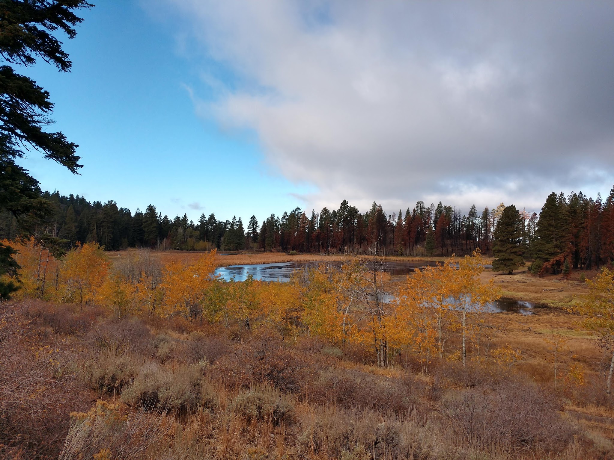 Pepperdine Campground