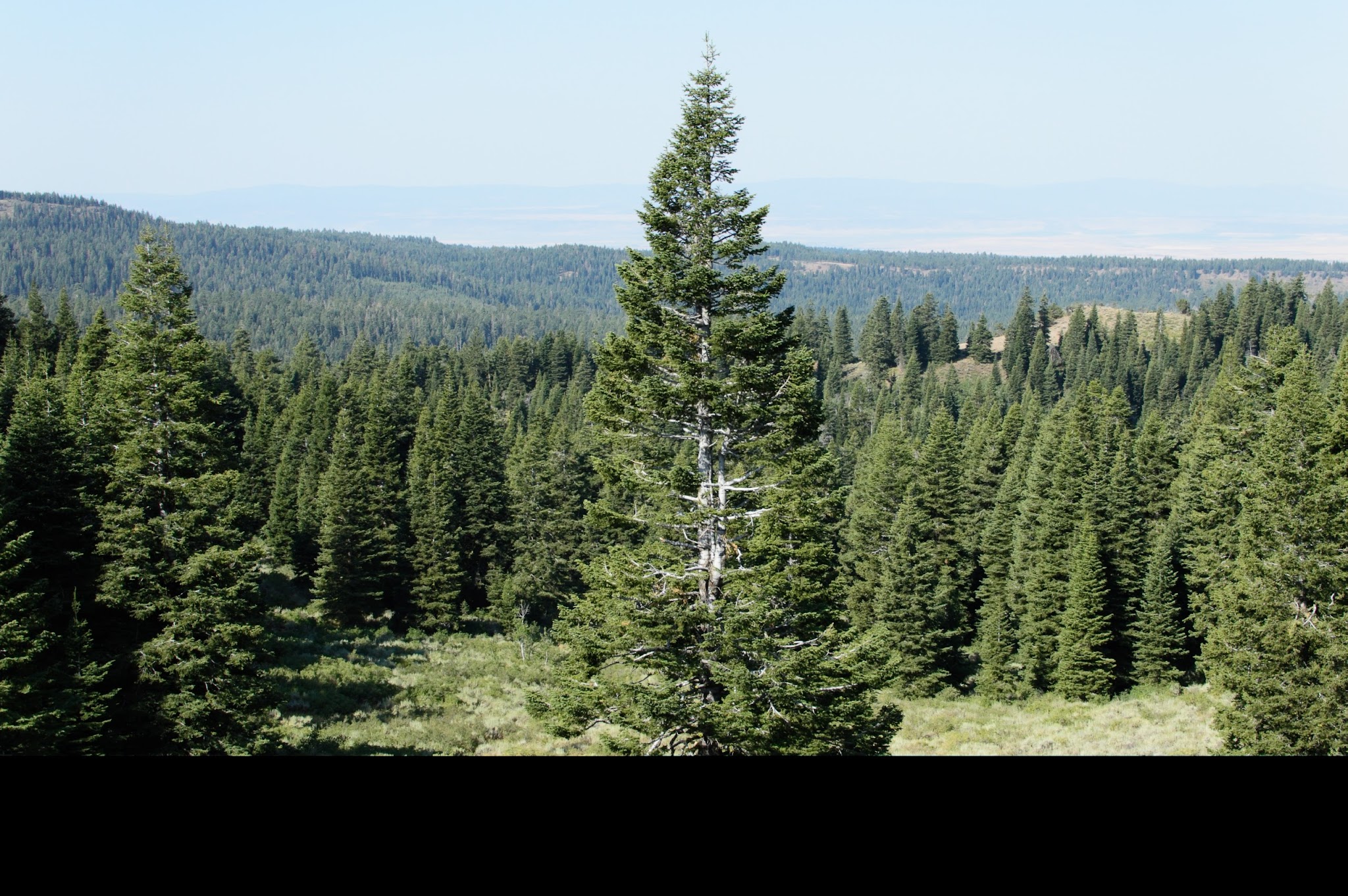 Pepperdine Equestrian Campground