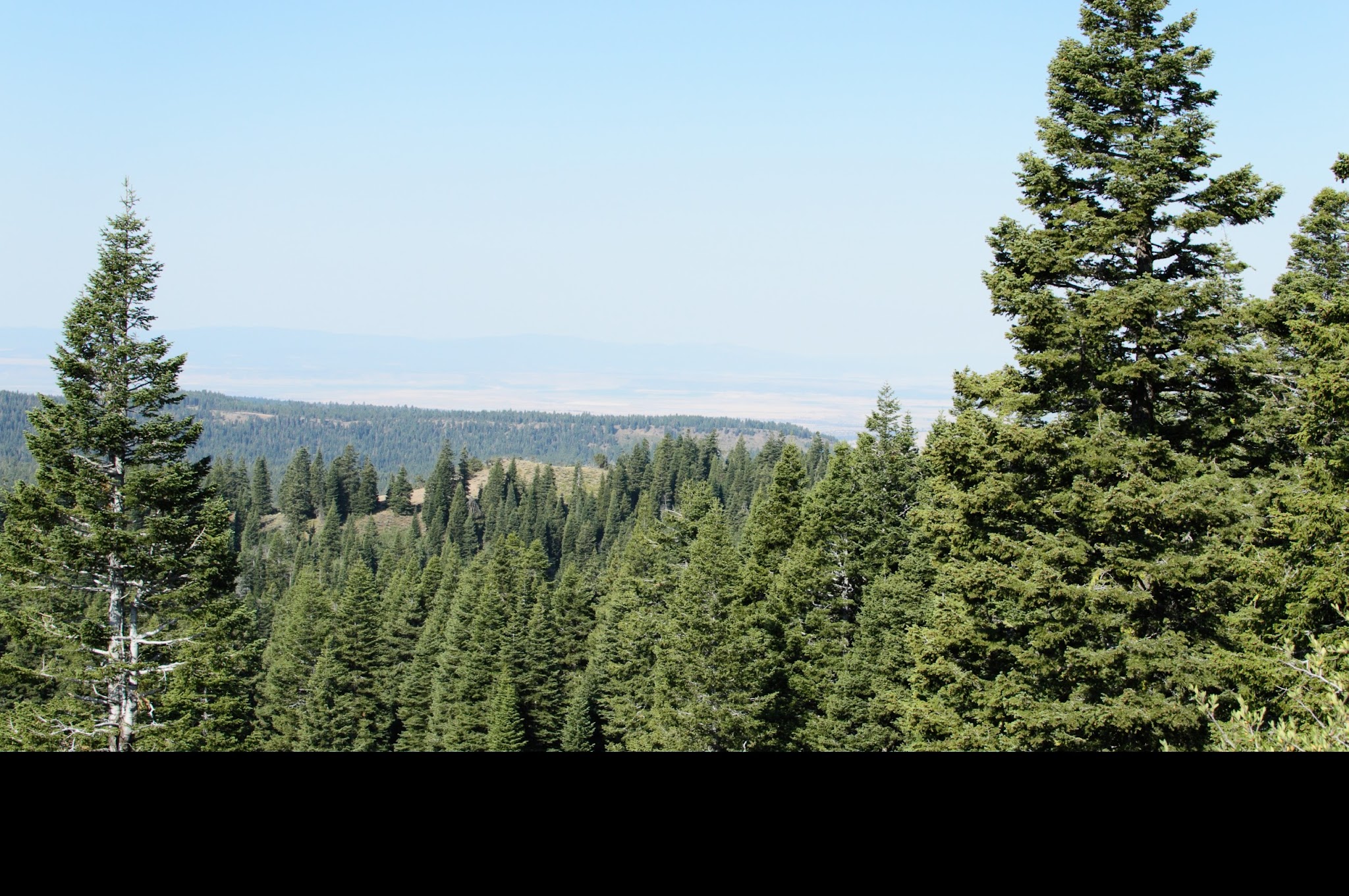 Pepperdine Equestrian Campground