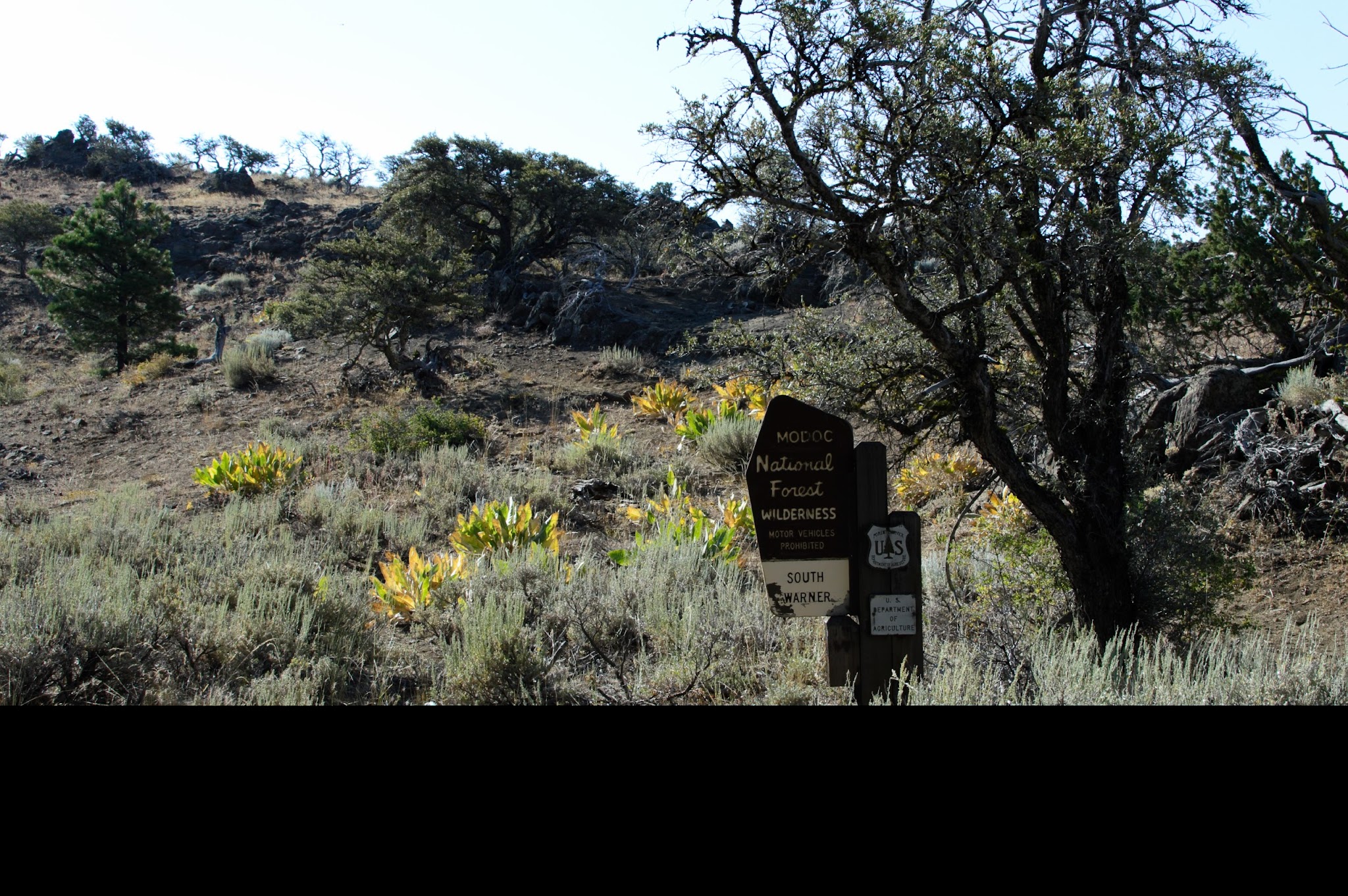 Pepperdine Equestrian Campground