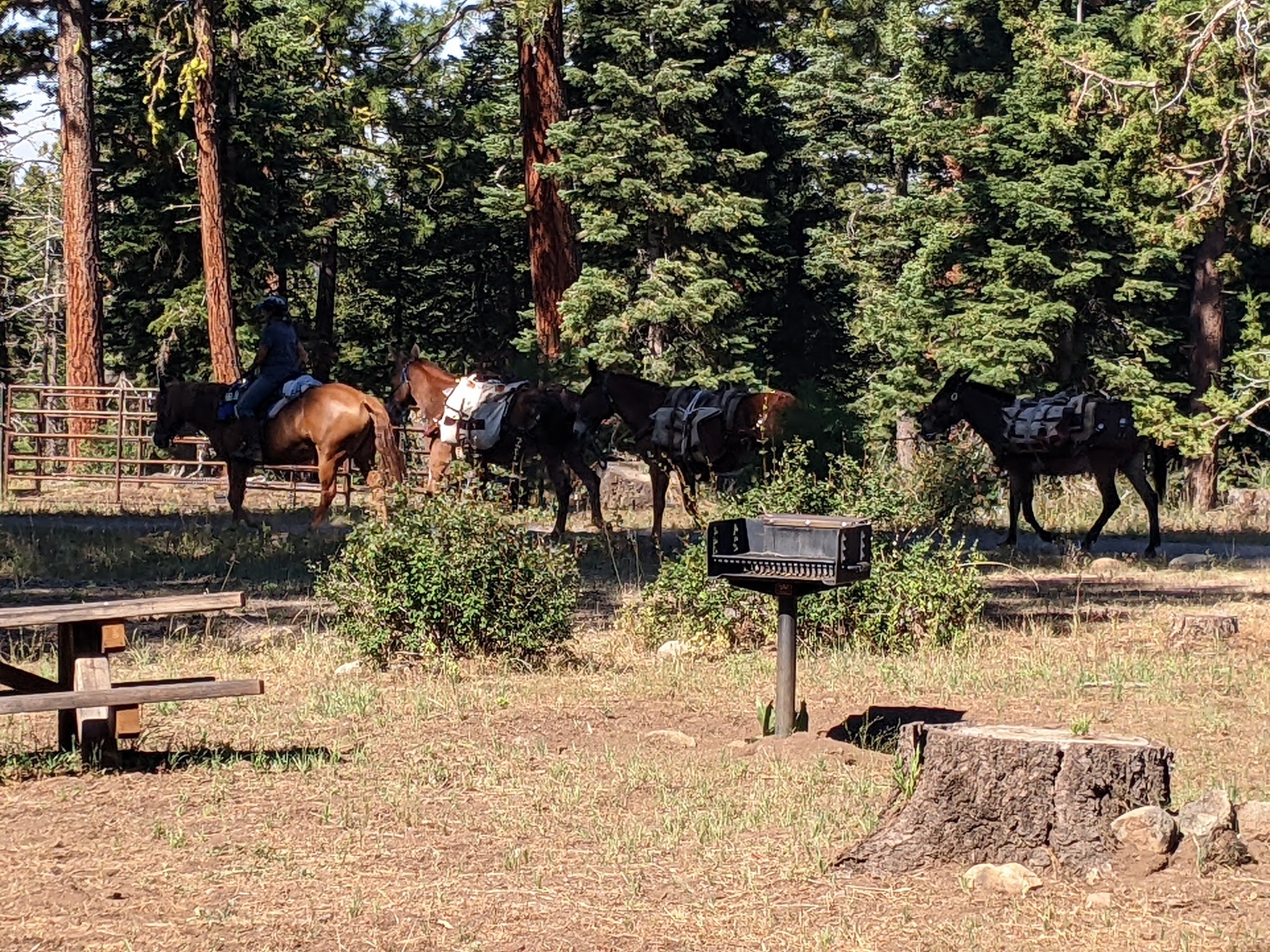 Pepperdine Equestrian Campground