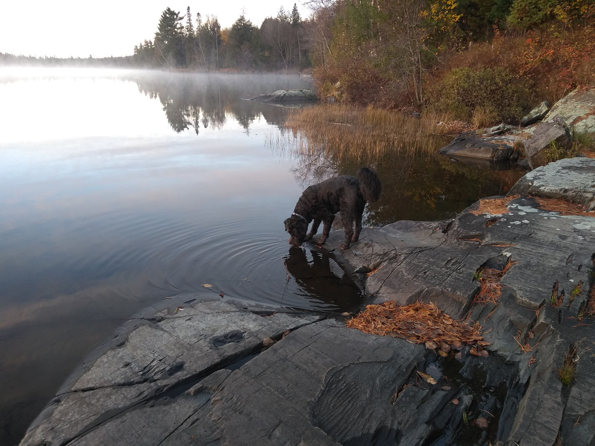 Perch Lake Campground