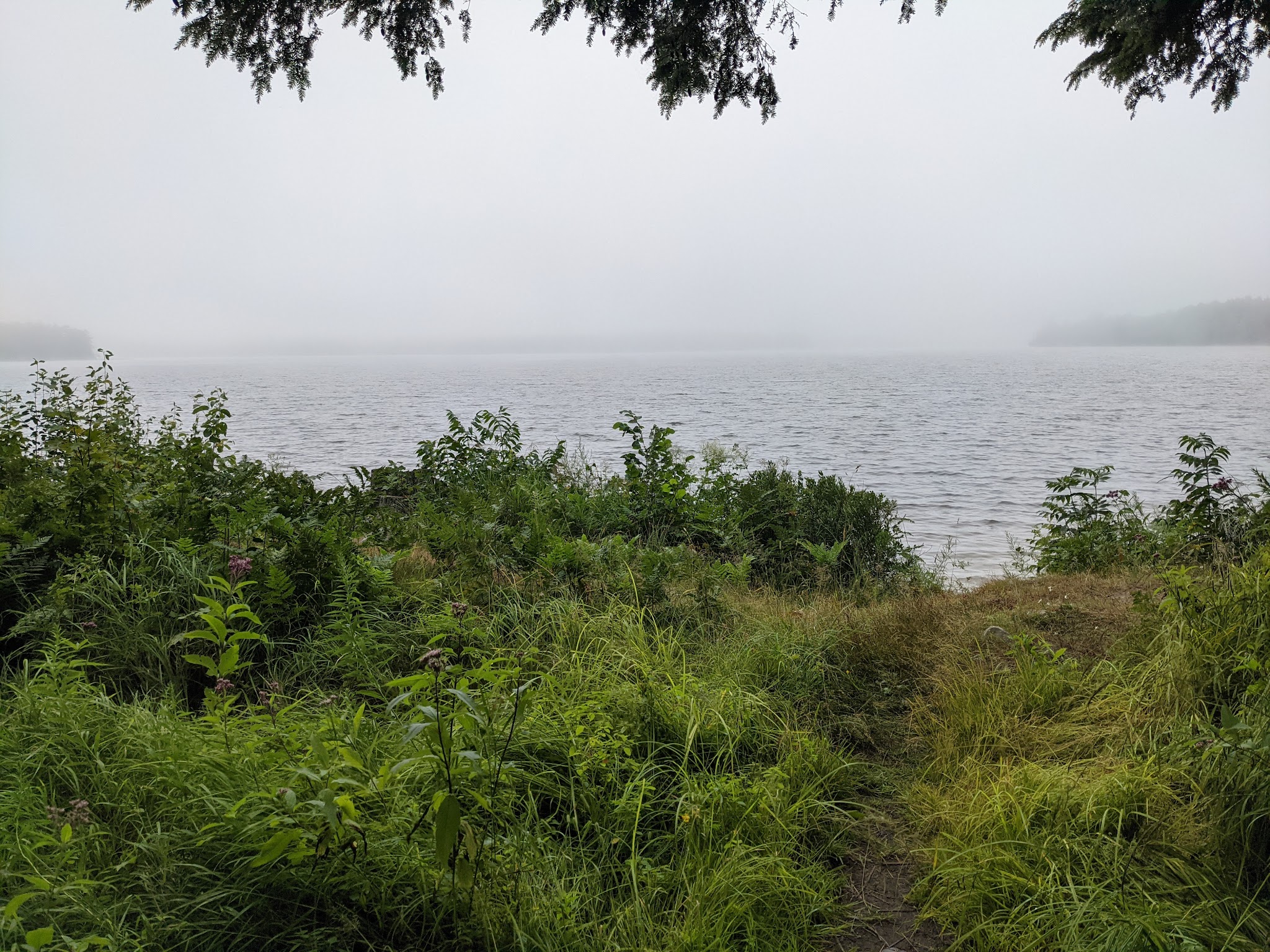 Perch Lake Campground