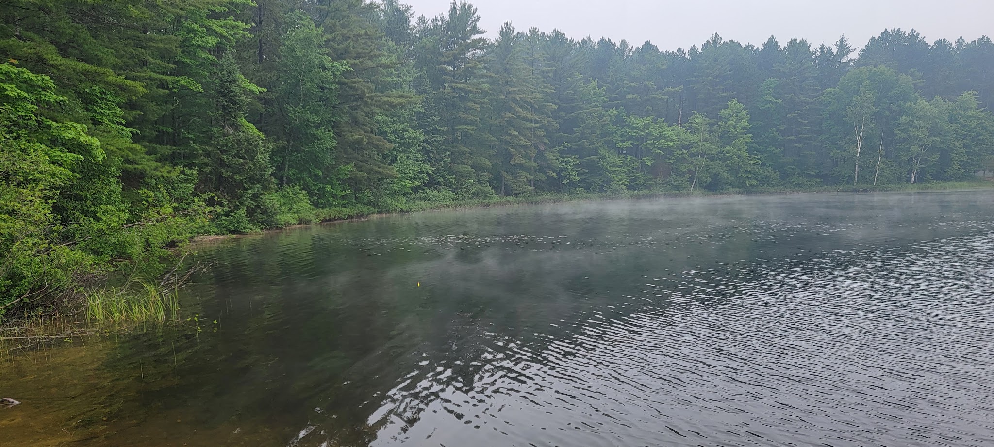 Perch Lake State Forest Campground