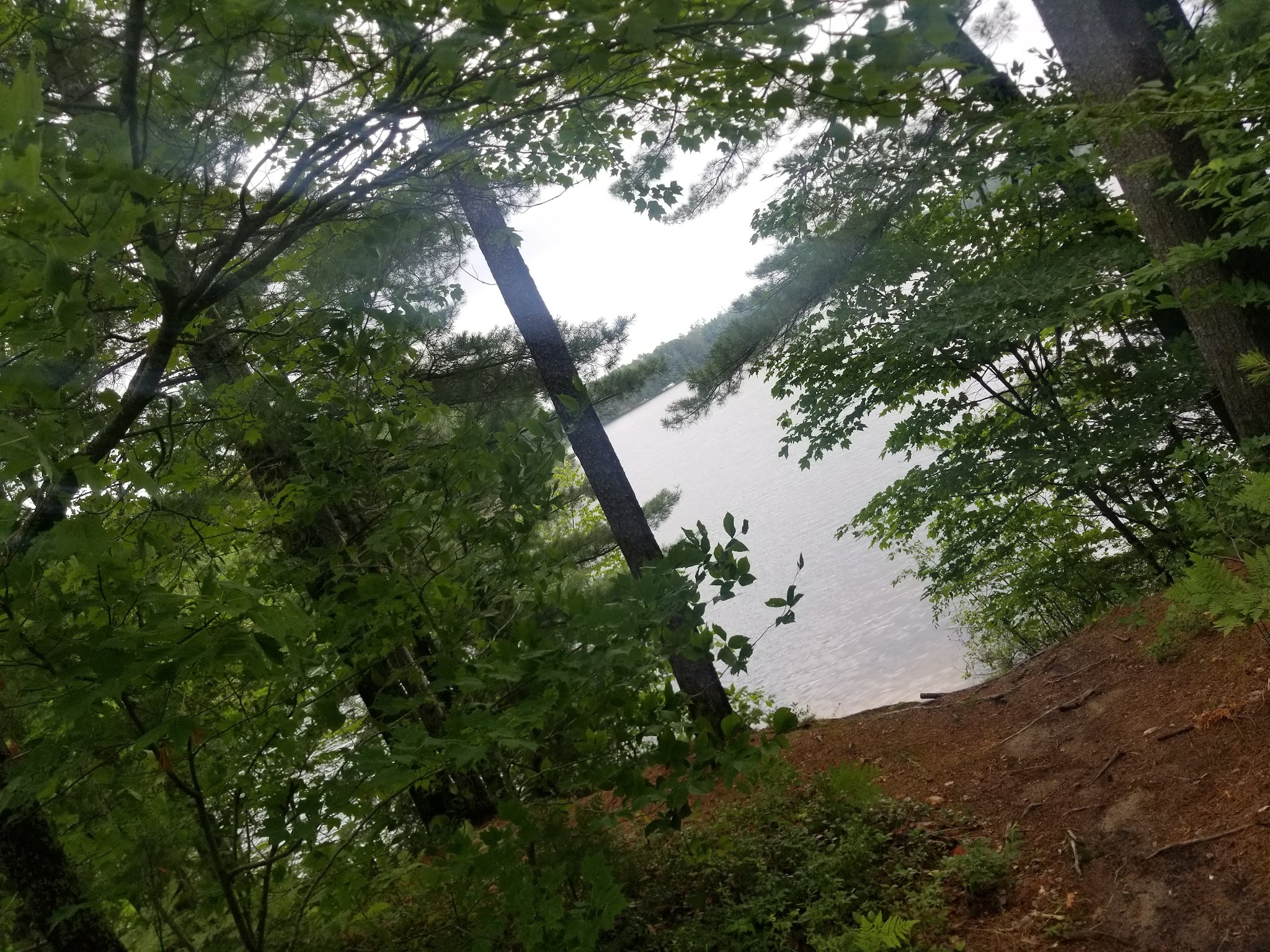 Perch Lake State Forest Campground