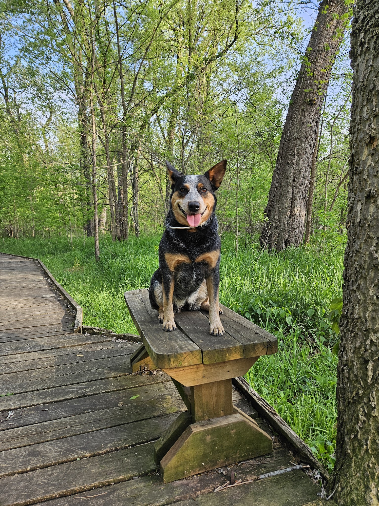 Pershing State Park Campground