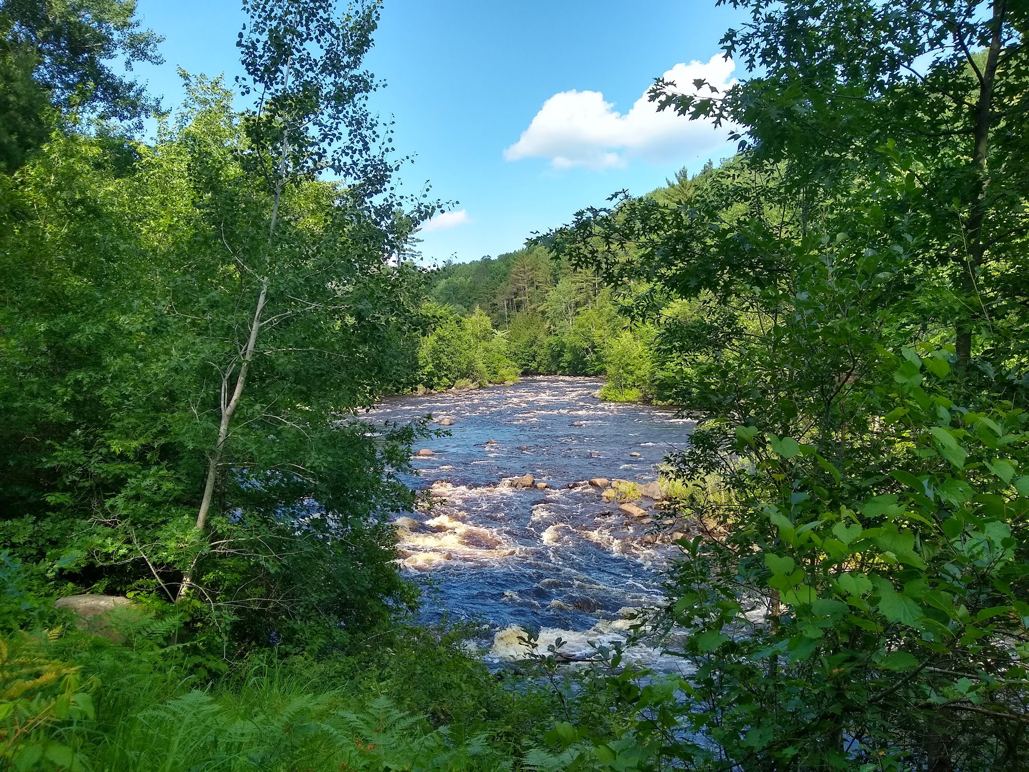 Governor Earl Peshtigo River State Forest