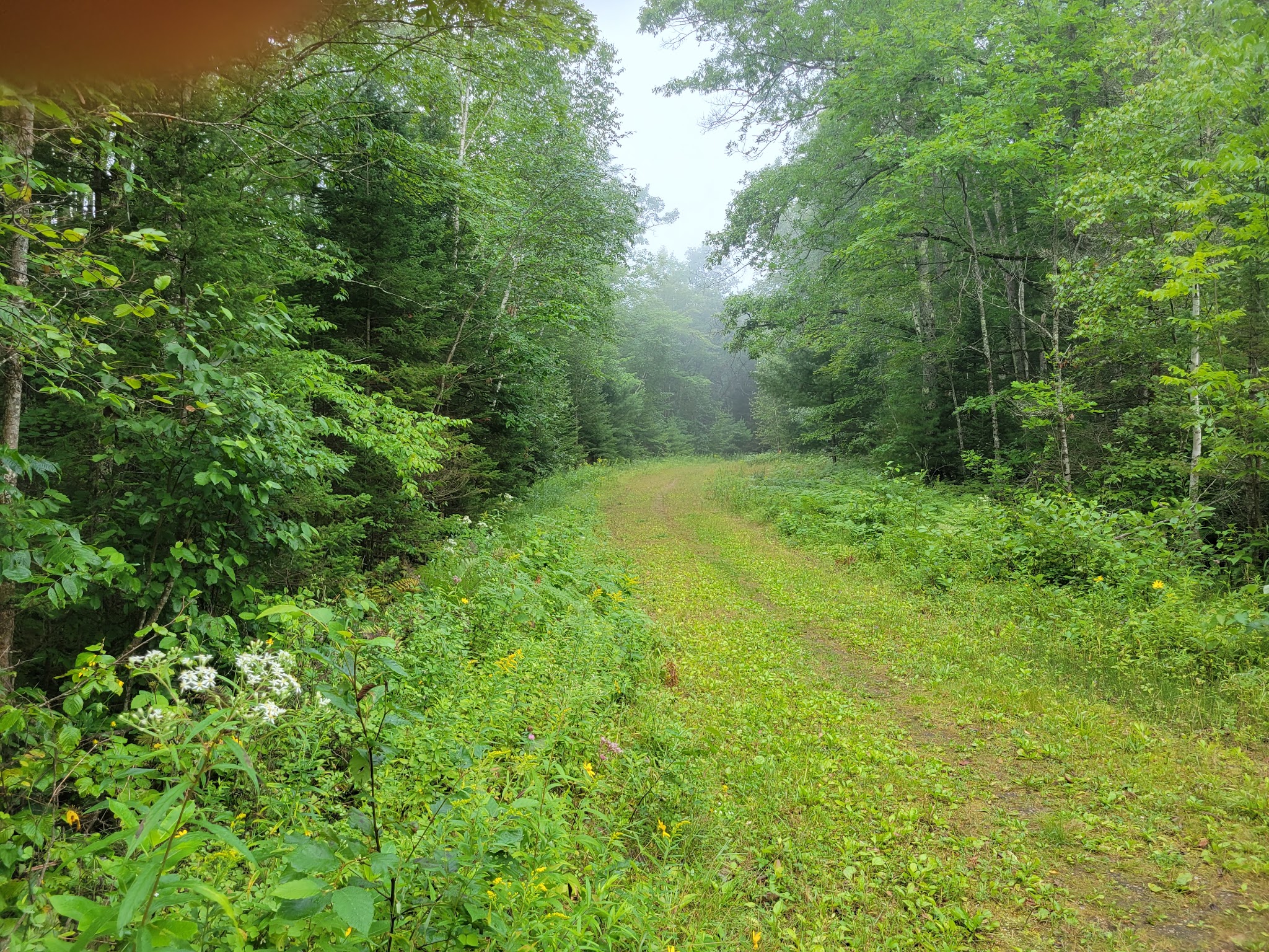 Governor Earl Peshtigo River State Forest