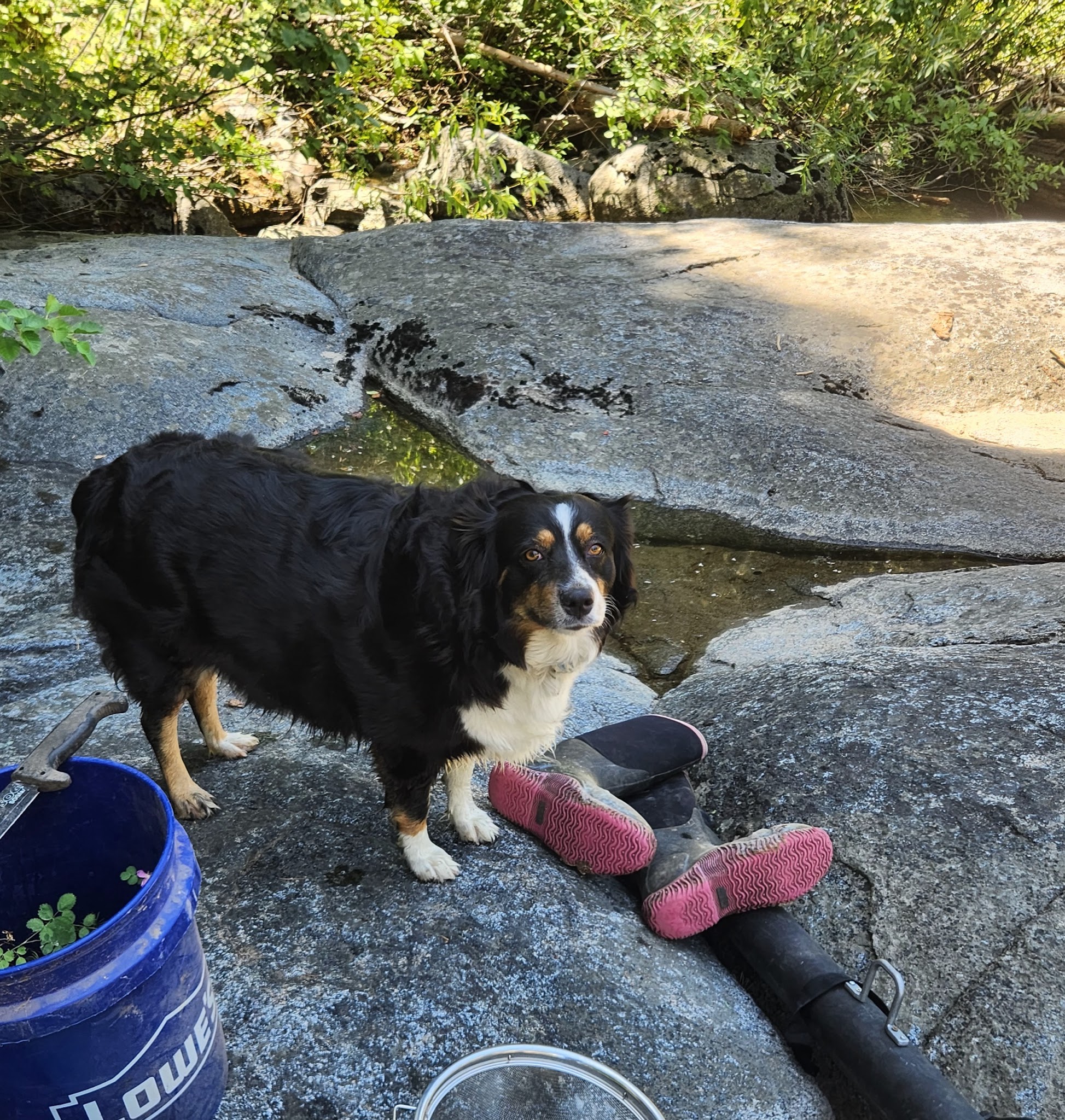 Fraser Flat Campground