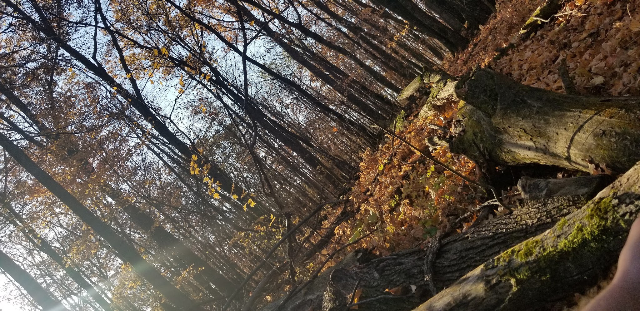 Mille Lacs Kathio Petaga Campground