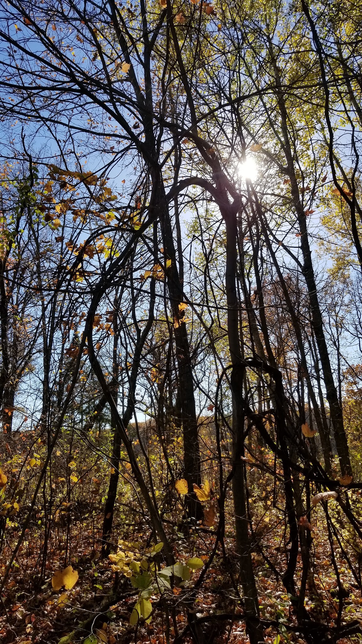 Mille Lacs Kathio Petaga Campground