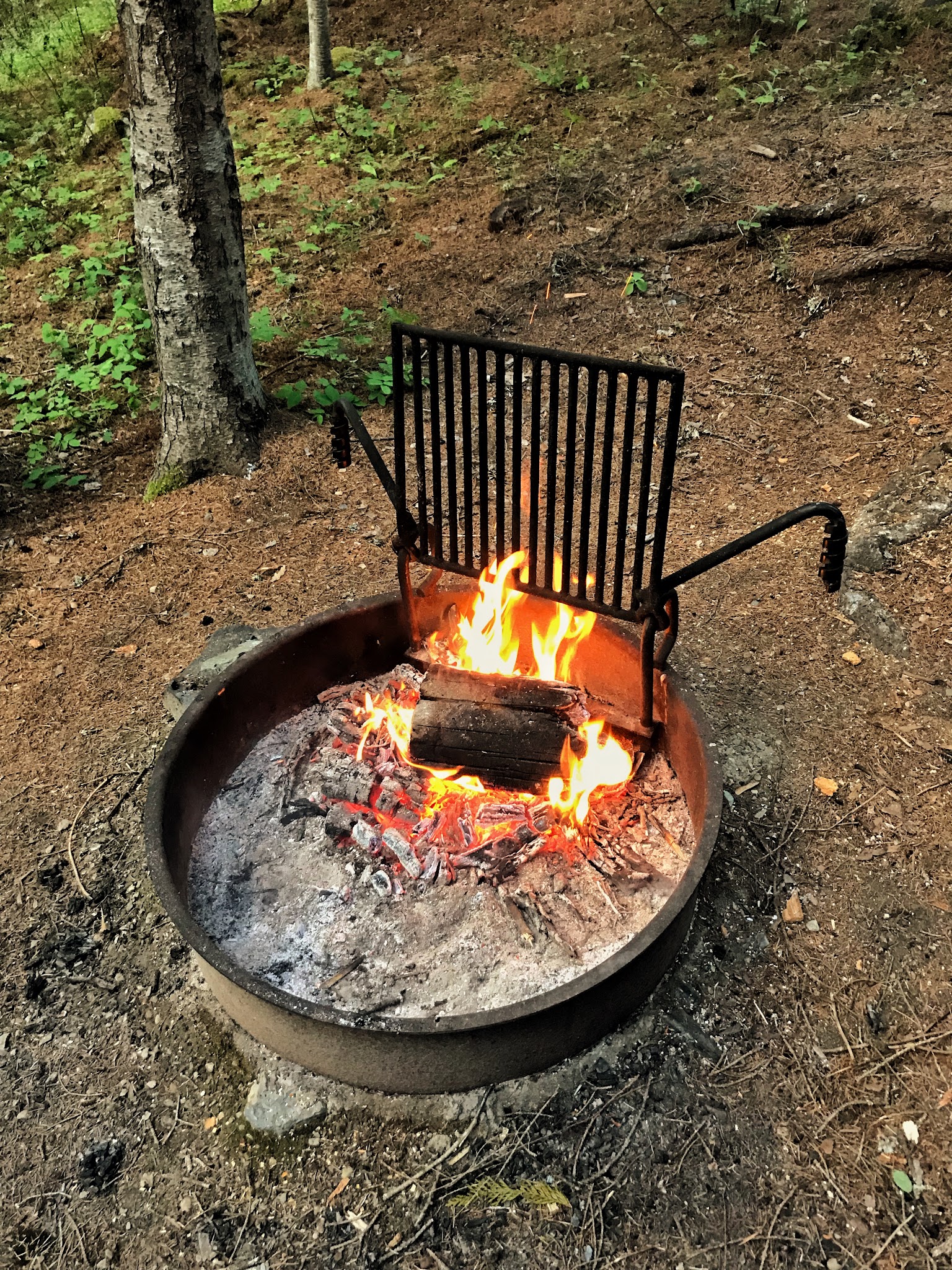 Pete Creek Campground