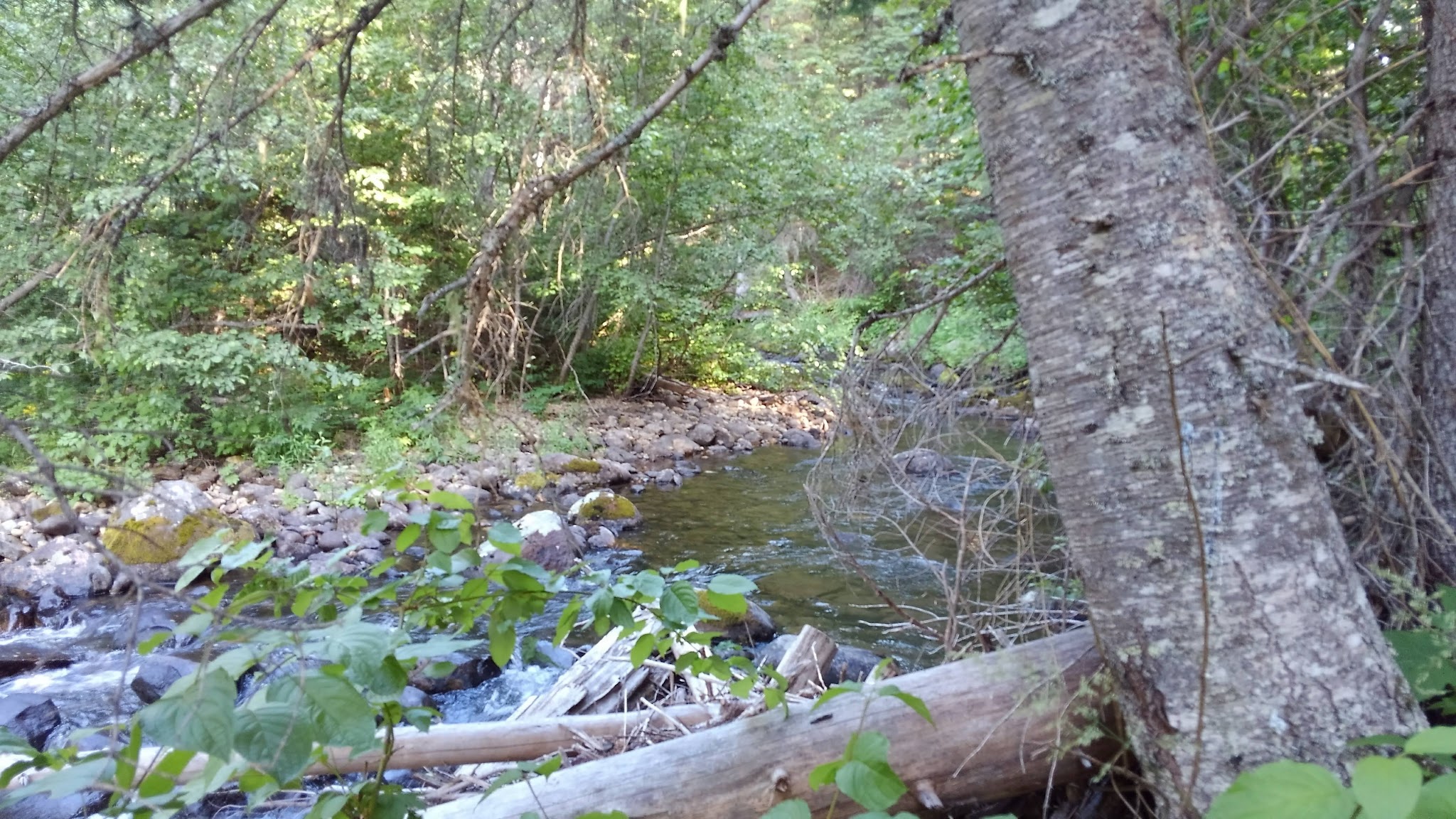 Pete Creek Campground